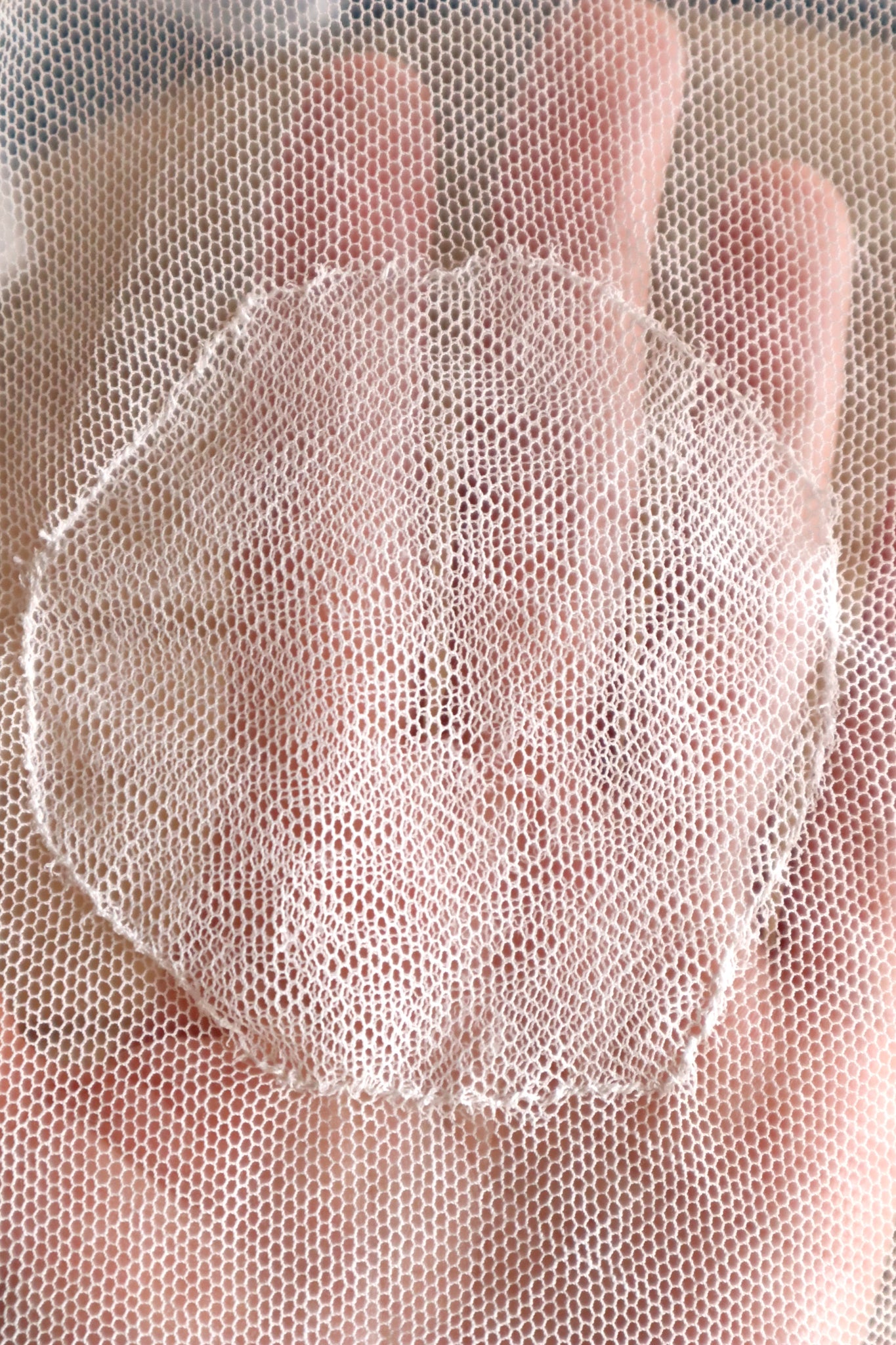 1890s–1900s Cotton Tulle Embroidered Cape Collar Dress