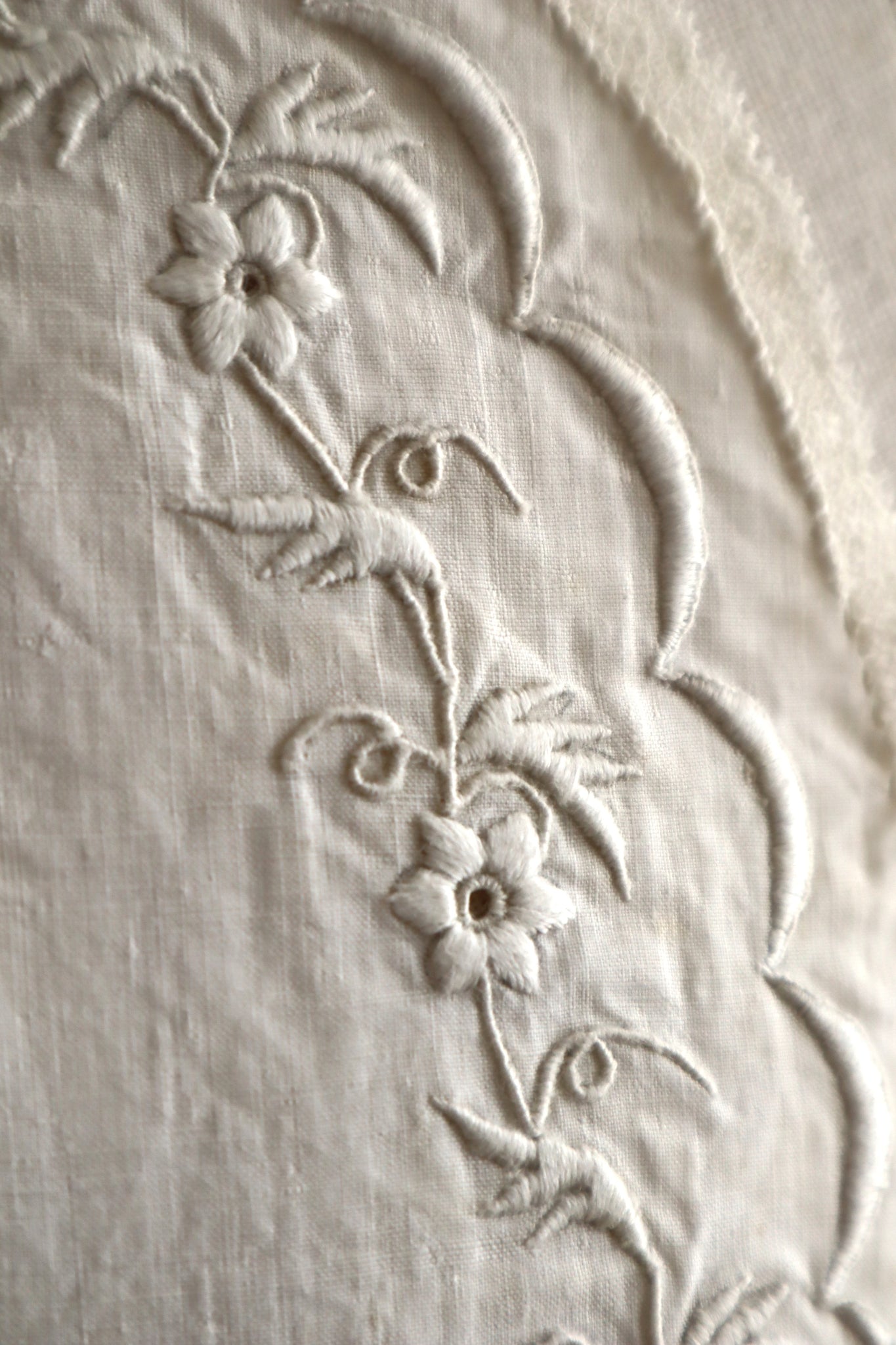 1900s–1910s British Edwardian Embroidered Bridal Cape