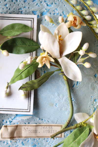 1920s French Orange Blossom Bridal Parure Set in Original Box