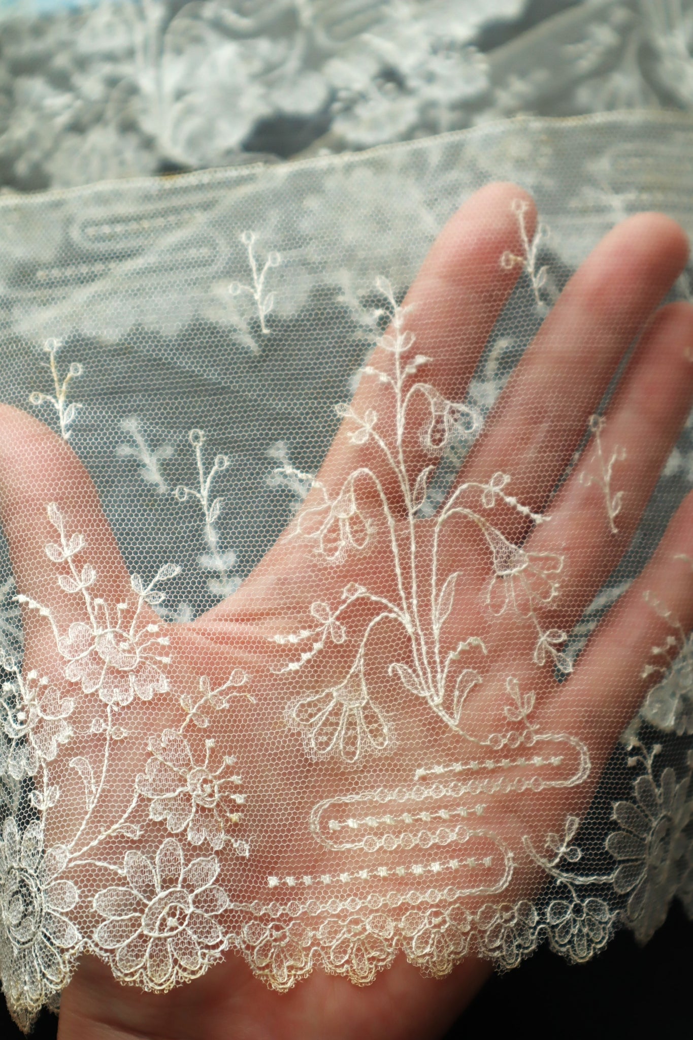 Late 19th Century Machine-Embroidered Net Lace Border (313cm)