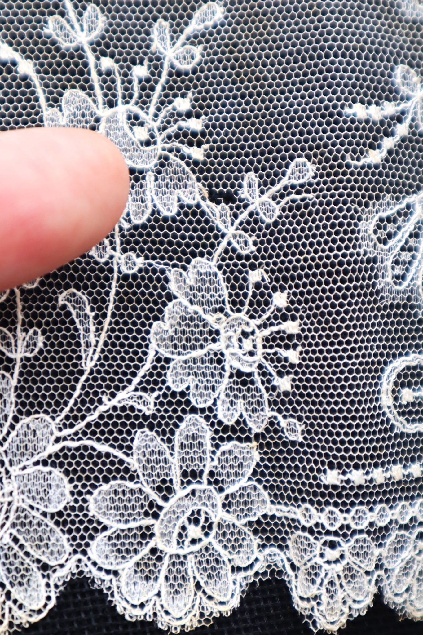 Late 19th Century Machine-Embroidered Net Lace Border (313cm)