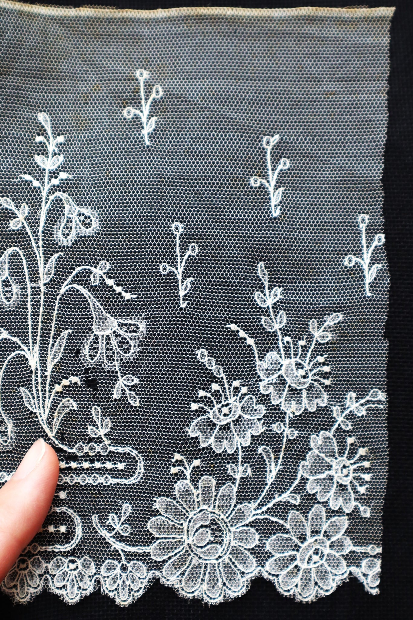 Late 19th Century Machine-Embroidered Net Lace Border (313cm)