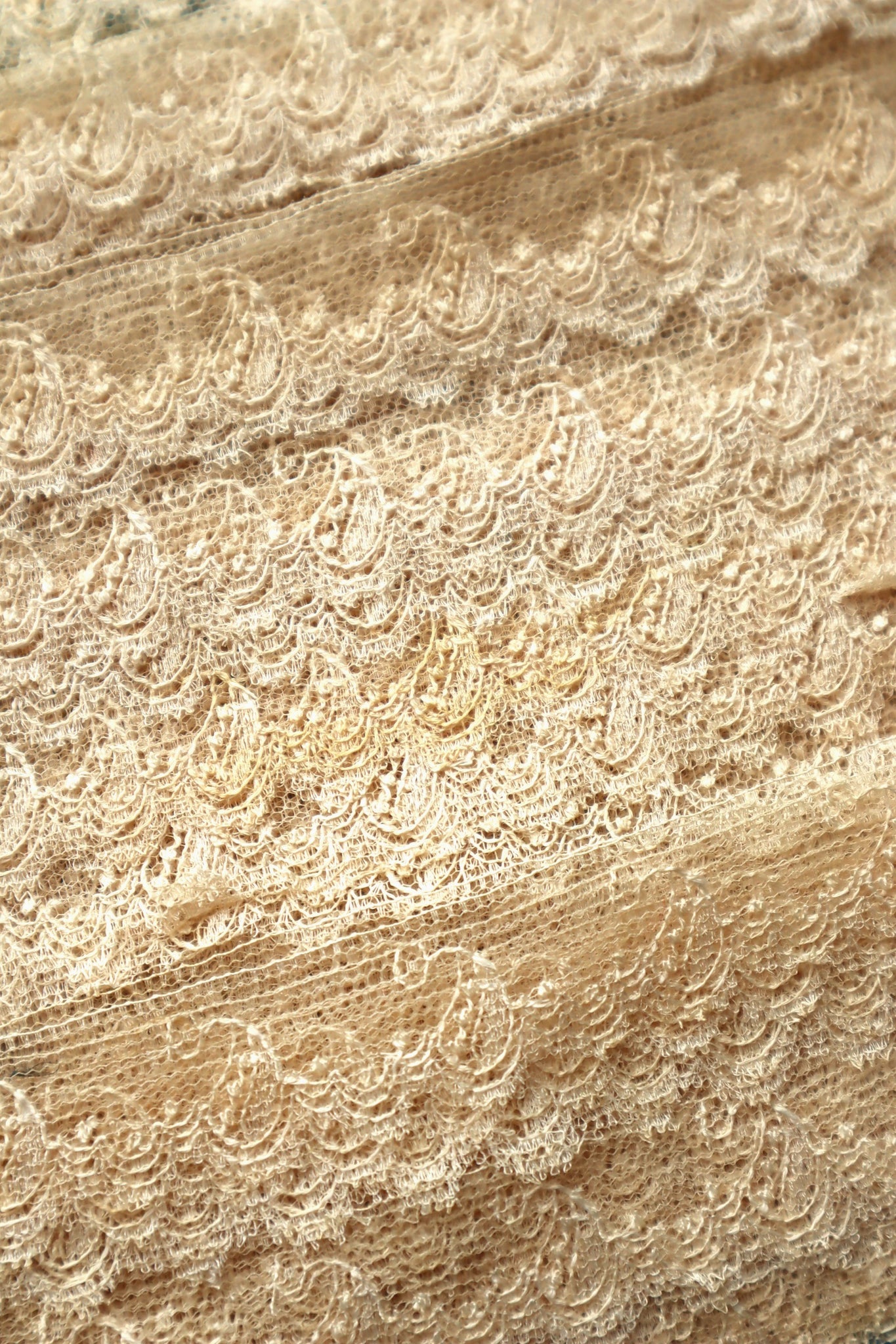 1900s Cotton Tulle Lace Trim on Original Merchant Card