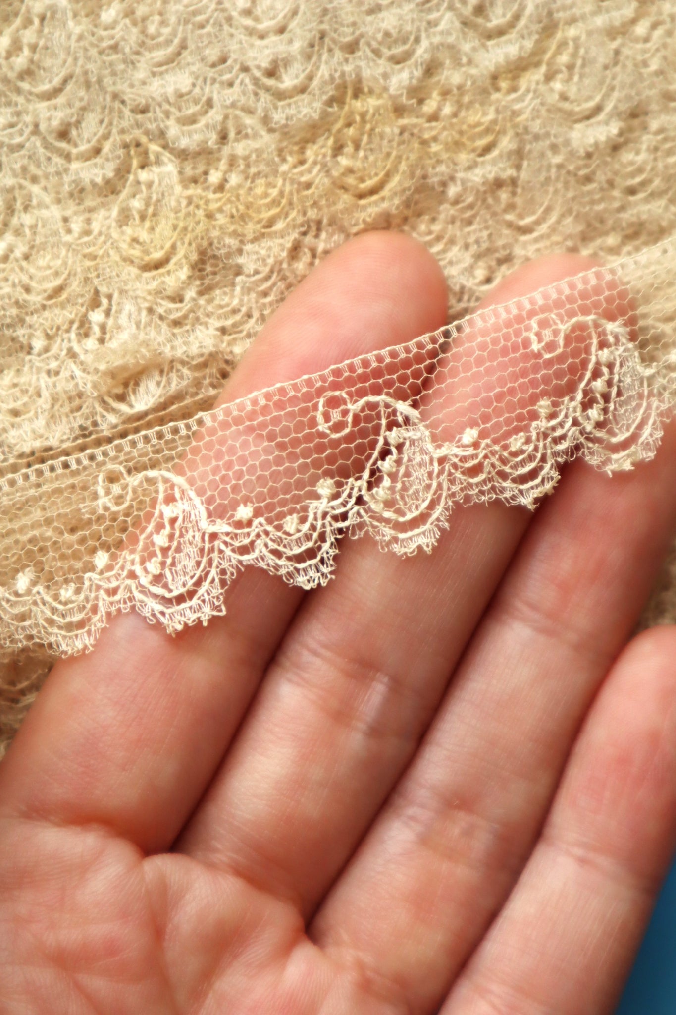 1900s Cotton Tulle Lace Trim on Original Merchant Card