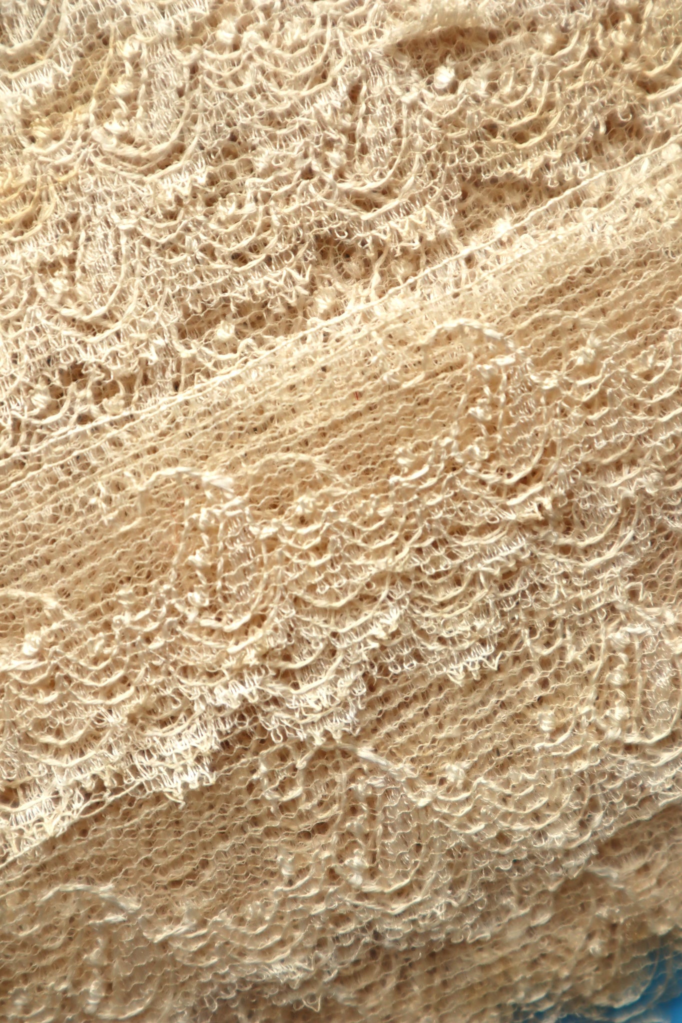 1900s Cotton Tulle Lace Trim on Original Merchant Card