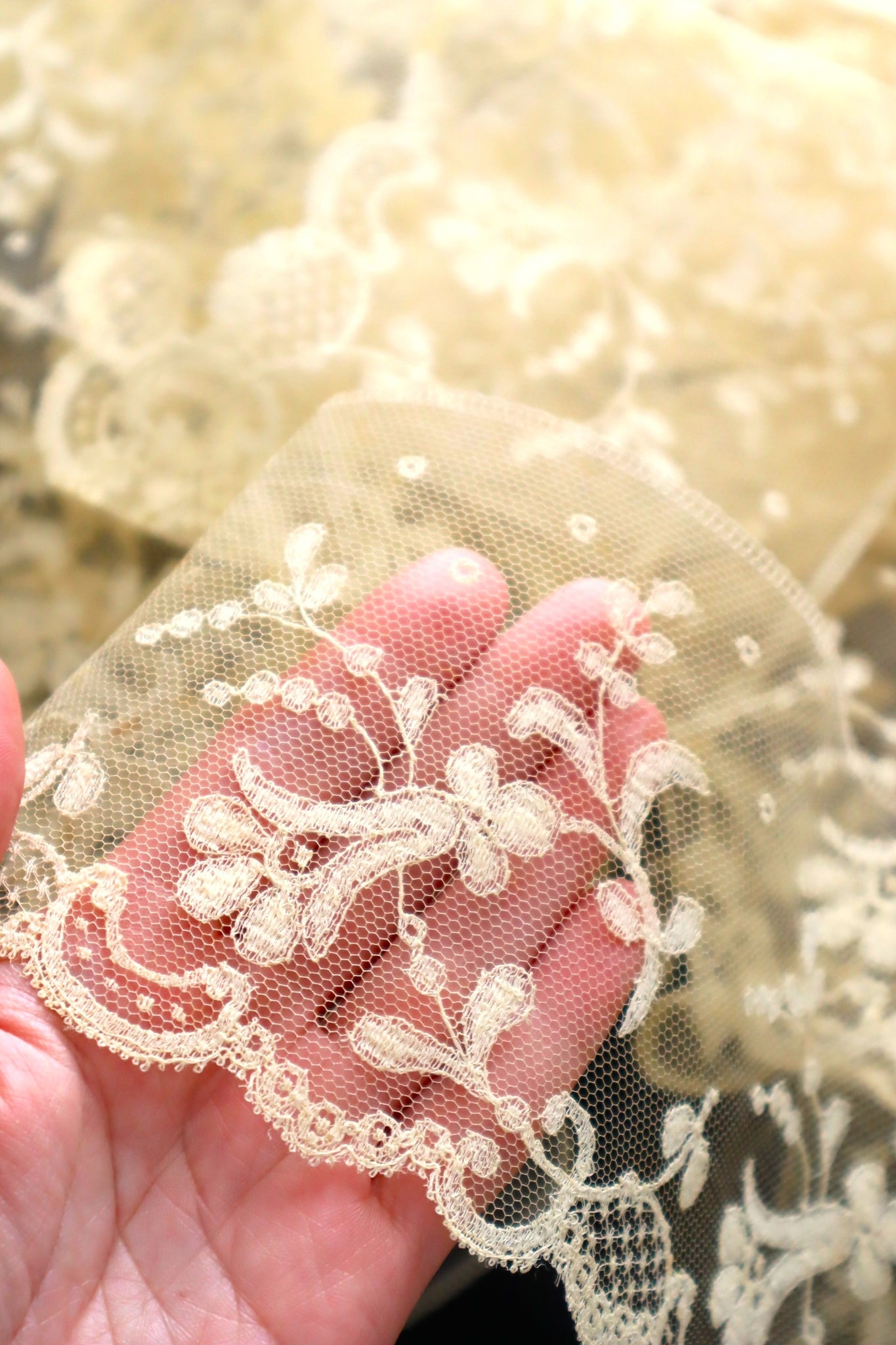 1910s–1920s French Bobbinet Tulle Lace Trim (370cm)