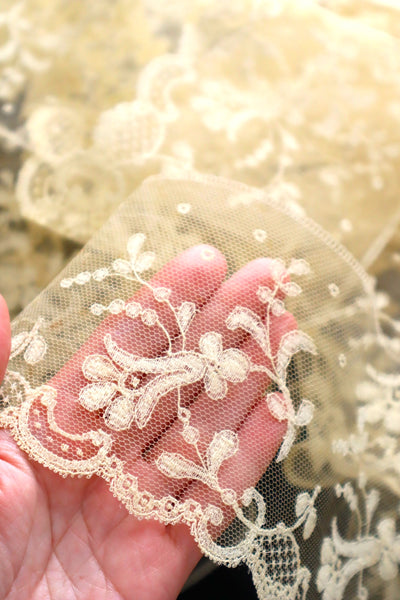 1910s–1920s French Bobbinet Tulle Lace Trim (370cm)