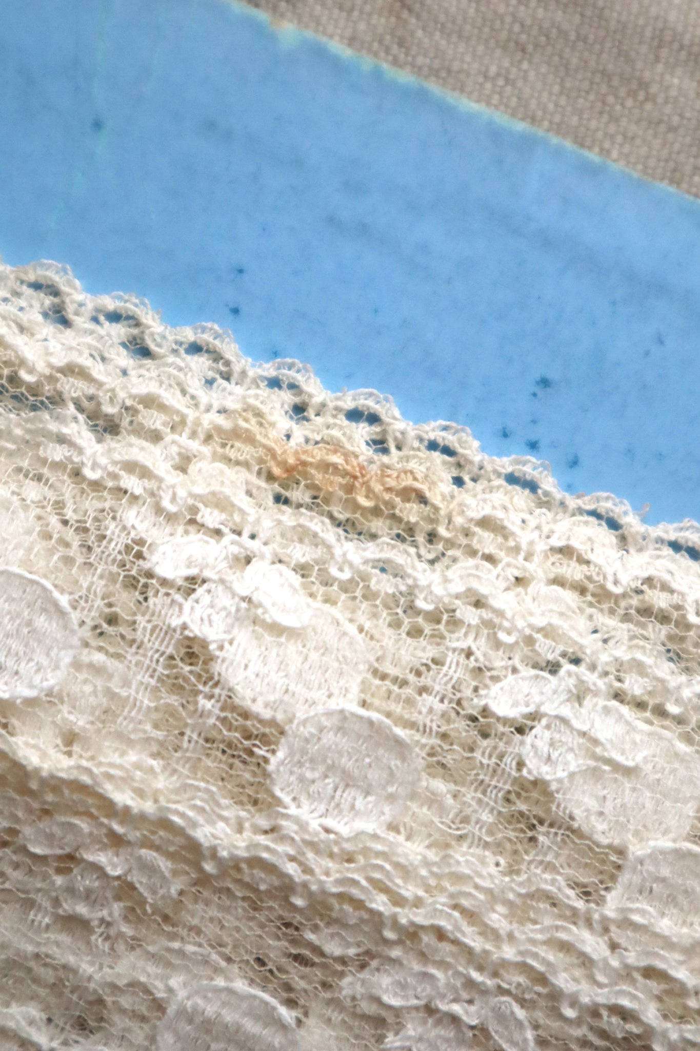 1910s French Cotton Bobbinet Lace Trim with Medalion Motifs