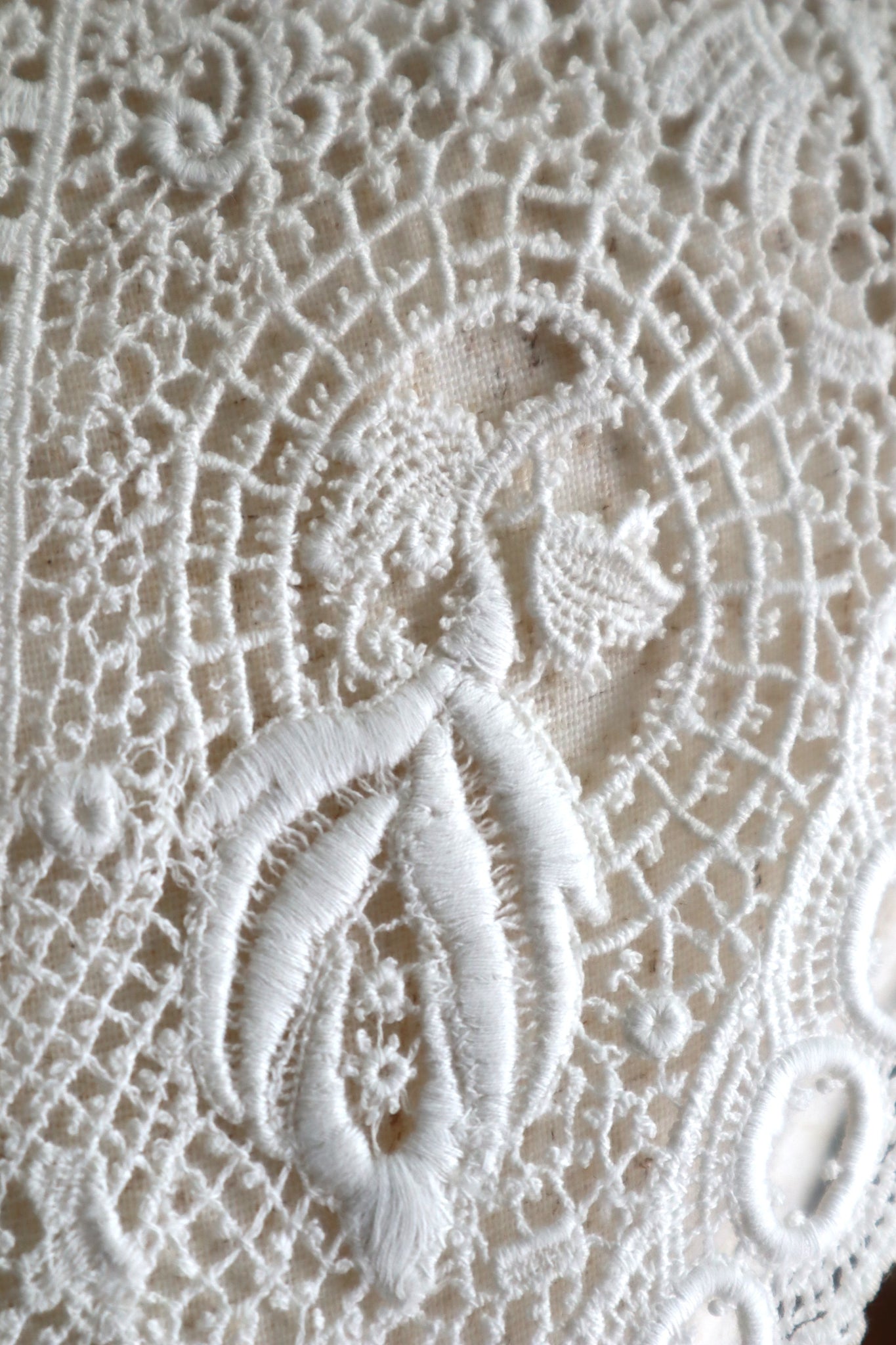 1900s Corded Schiffli Lace Sailor Collar