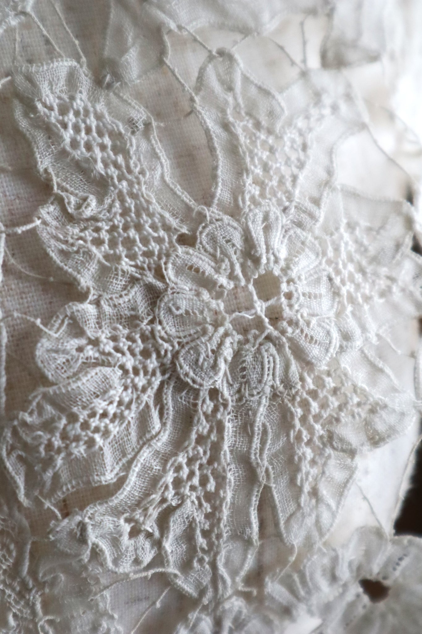 Early 1900s French Edwardian Handmade Needle Lace Collar