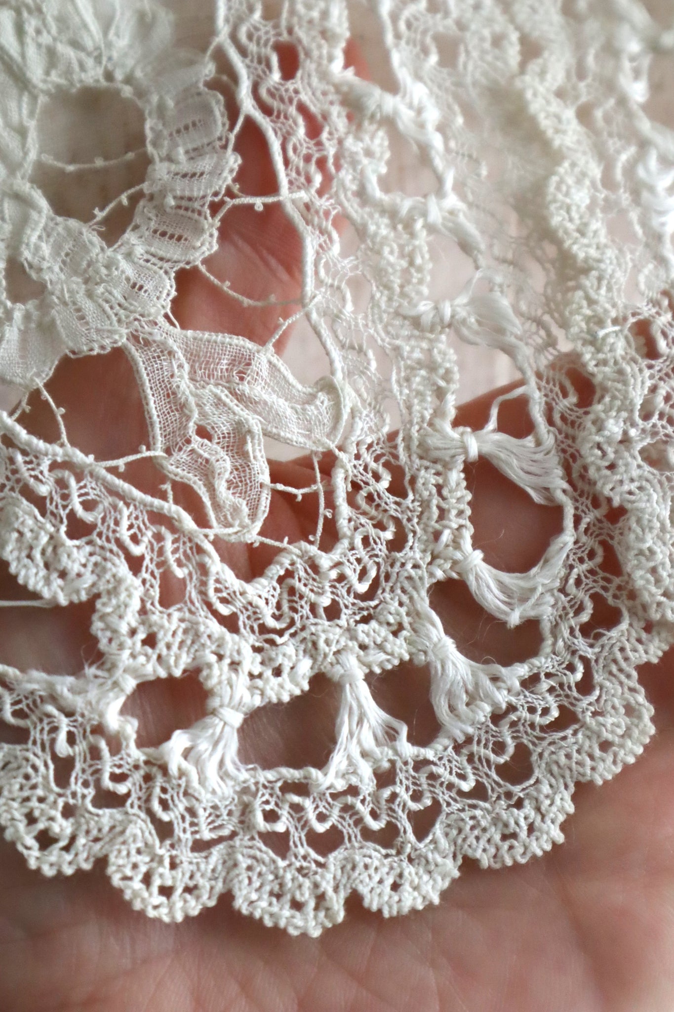 Early 1900s French Edwardian Handmade Needle Lace Collar