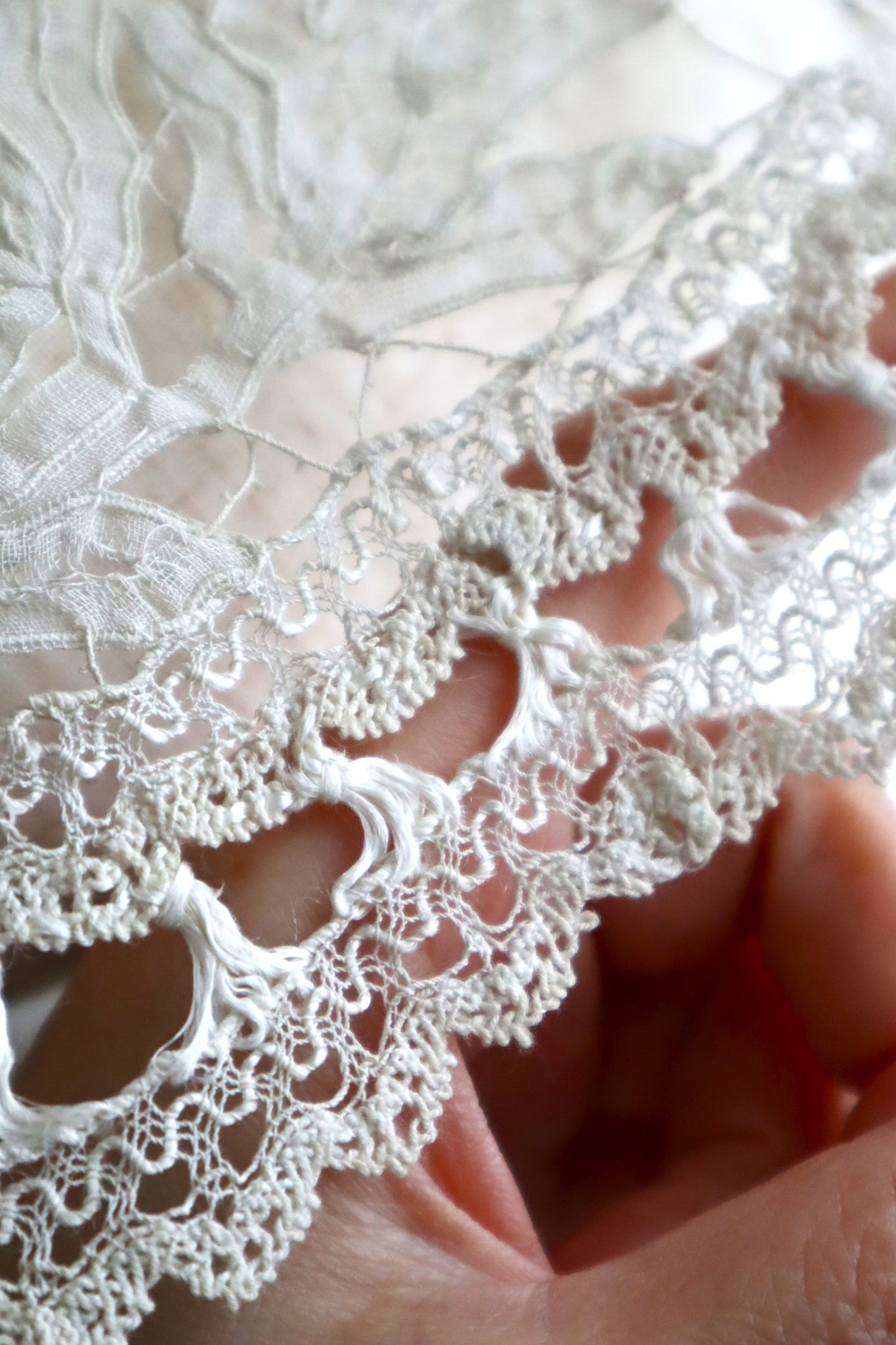 Early 1900s French Edwardian Handmade Needle Lace Collar