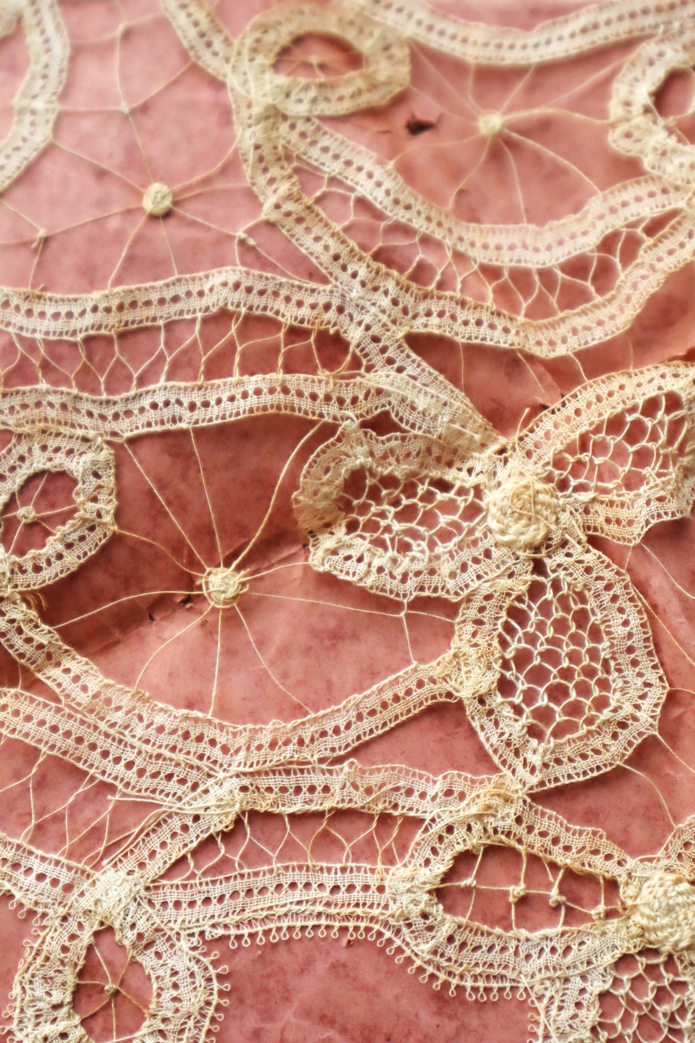 1890s–1900s Handmade Renaissance Tape Lace Collar & Panel on Original Board