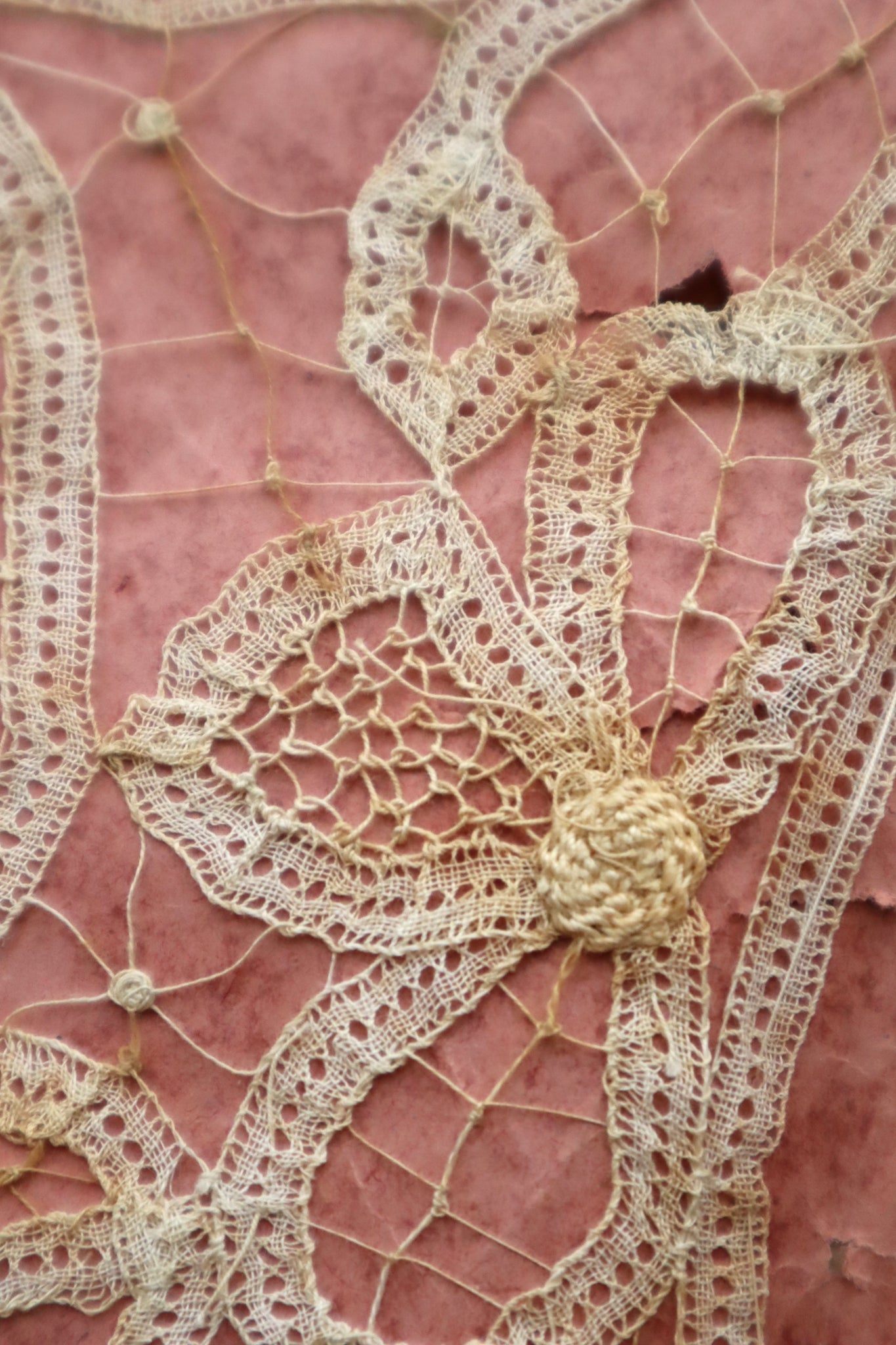 1890s–1900s Handmade Renaissance Tape Lace Collar & Panel on Original Board