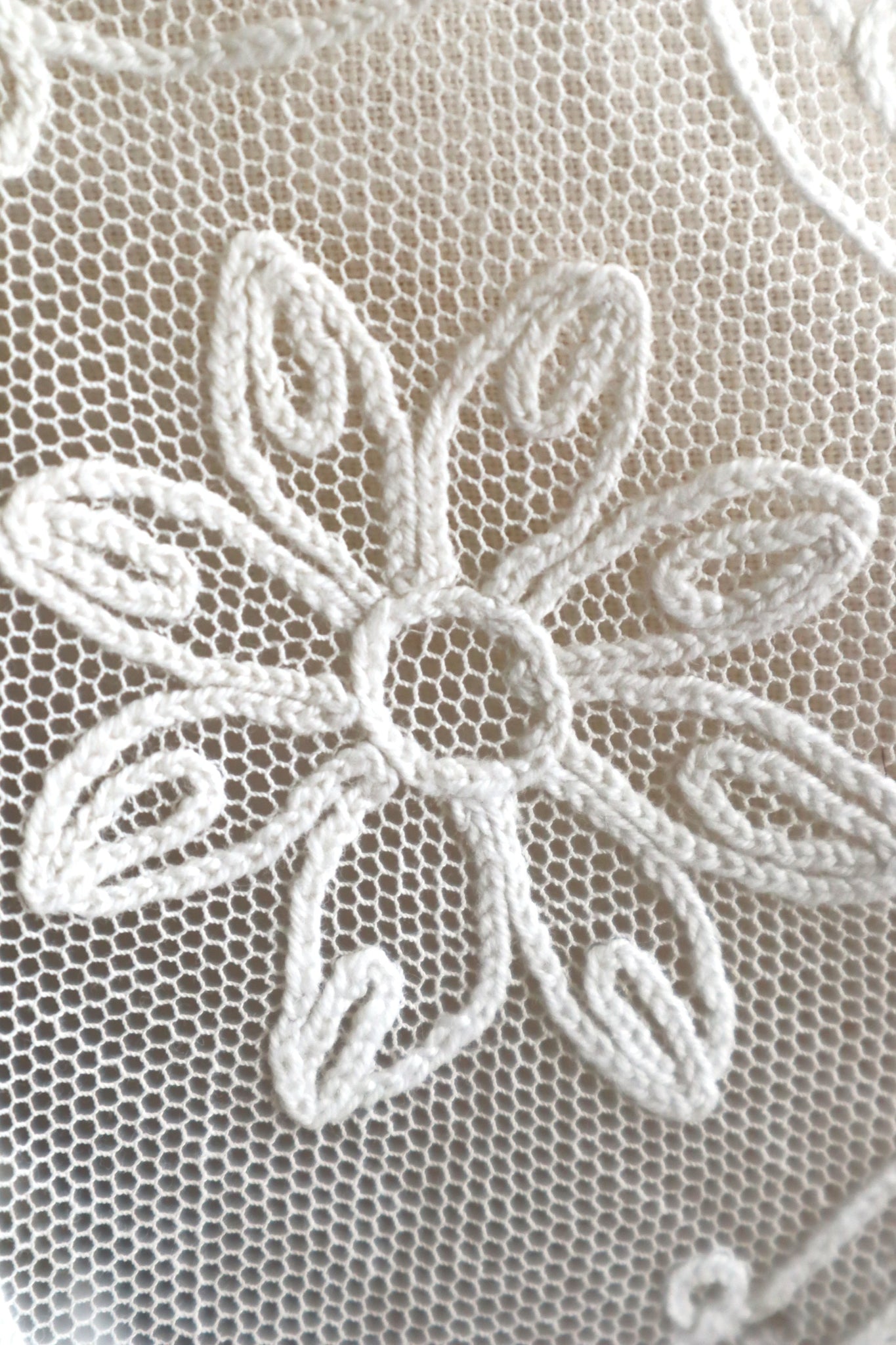 1920s French Tambour Embroidered Cotton Tulle Cape Collar
