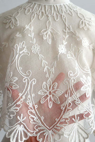 1920s French Tambour Embroidered Cotton Tulle Cape Collar