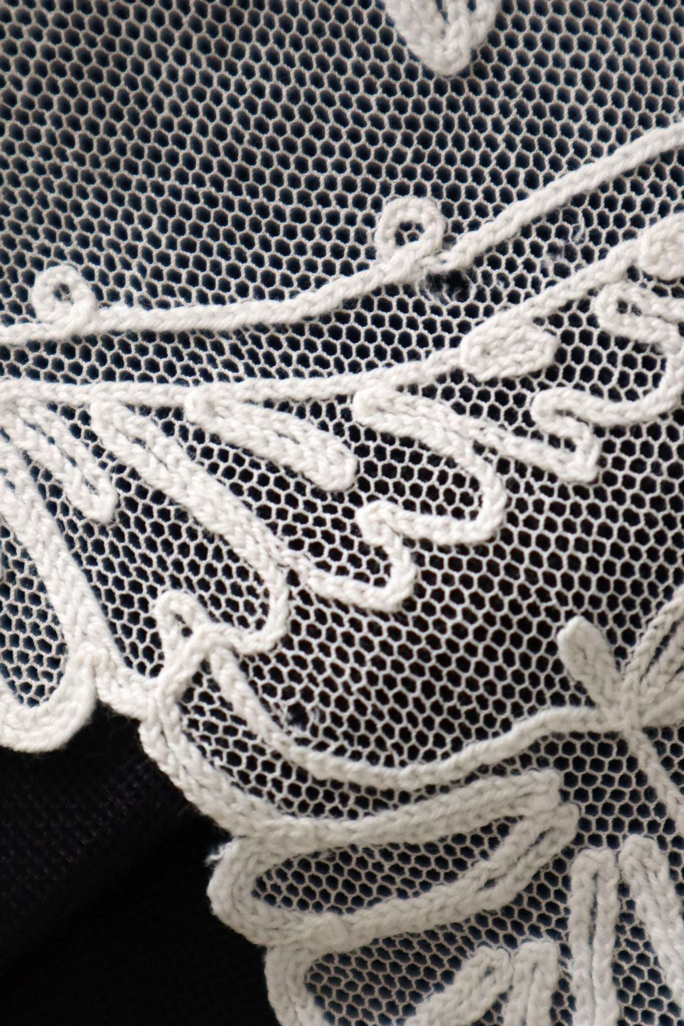 1920s French Tambour Embroidered Cotton Tulle Cape Collar