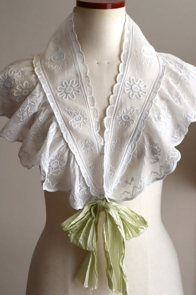 1900s French Cornely Tambour Embroidered Cape Collar