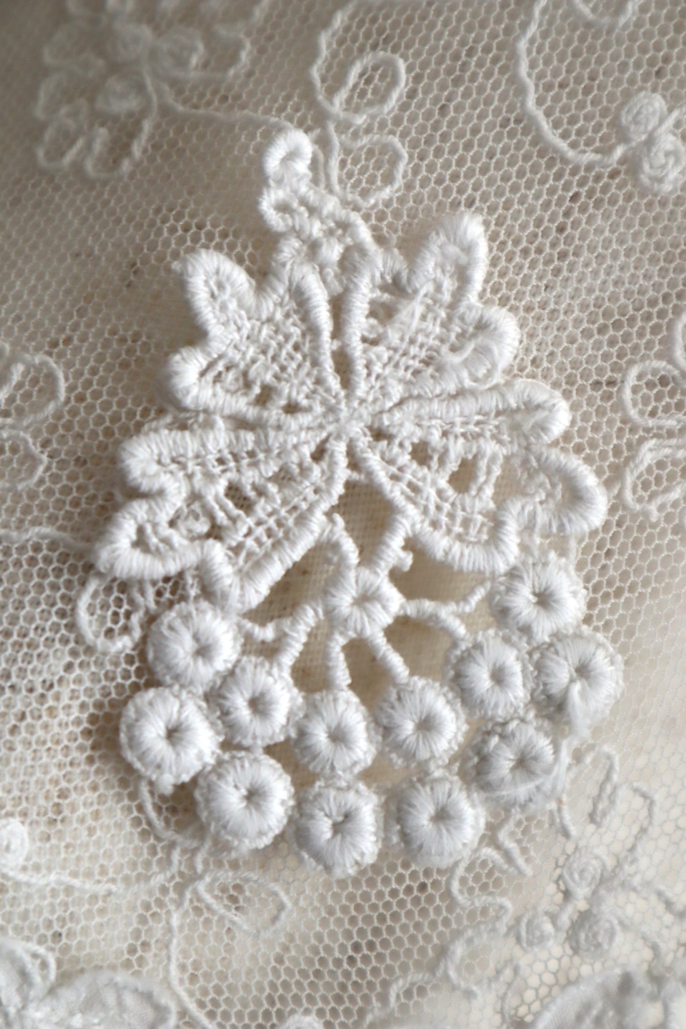1910s–1920s Embroidered Tulle Lace Collar
