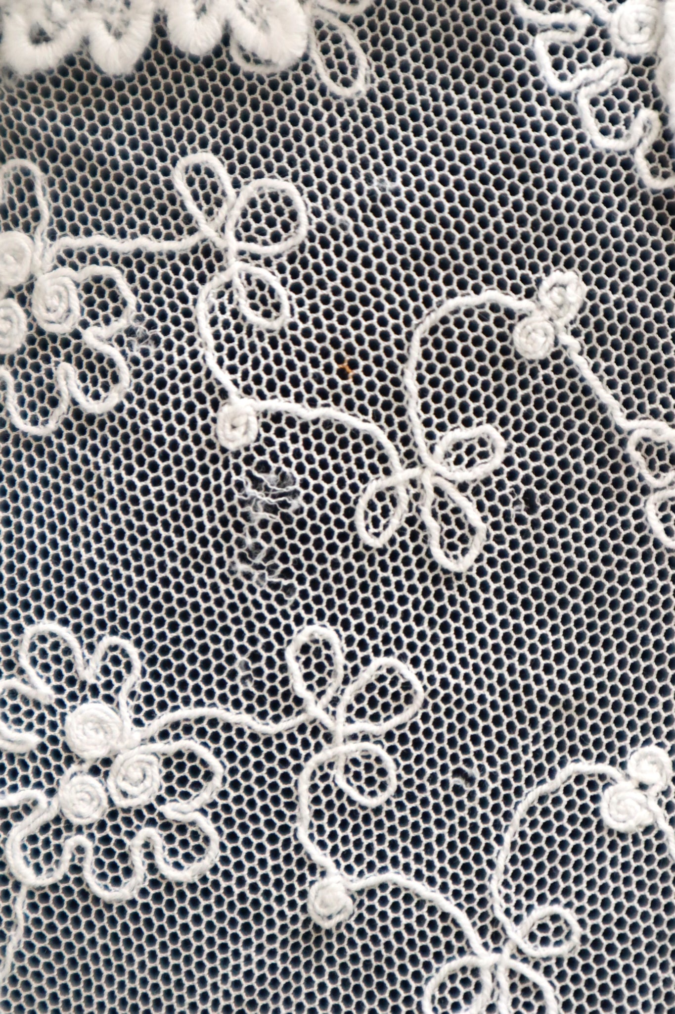 1910s–1920s Embroidered Tulle Lace Collar