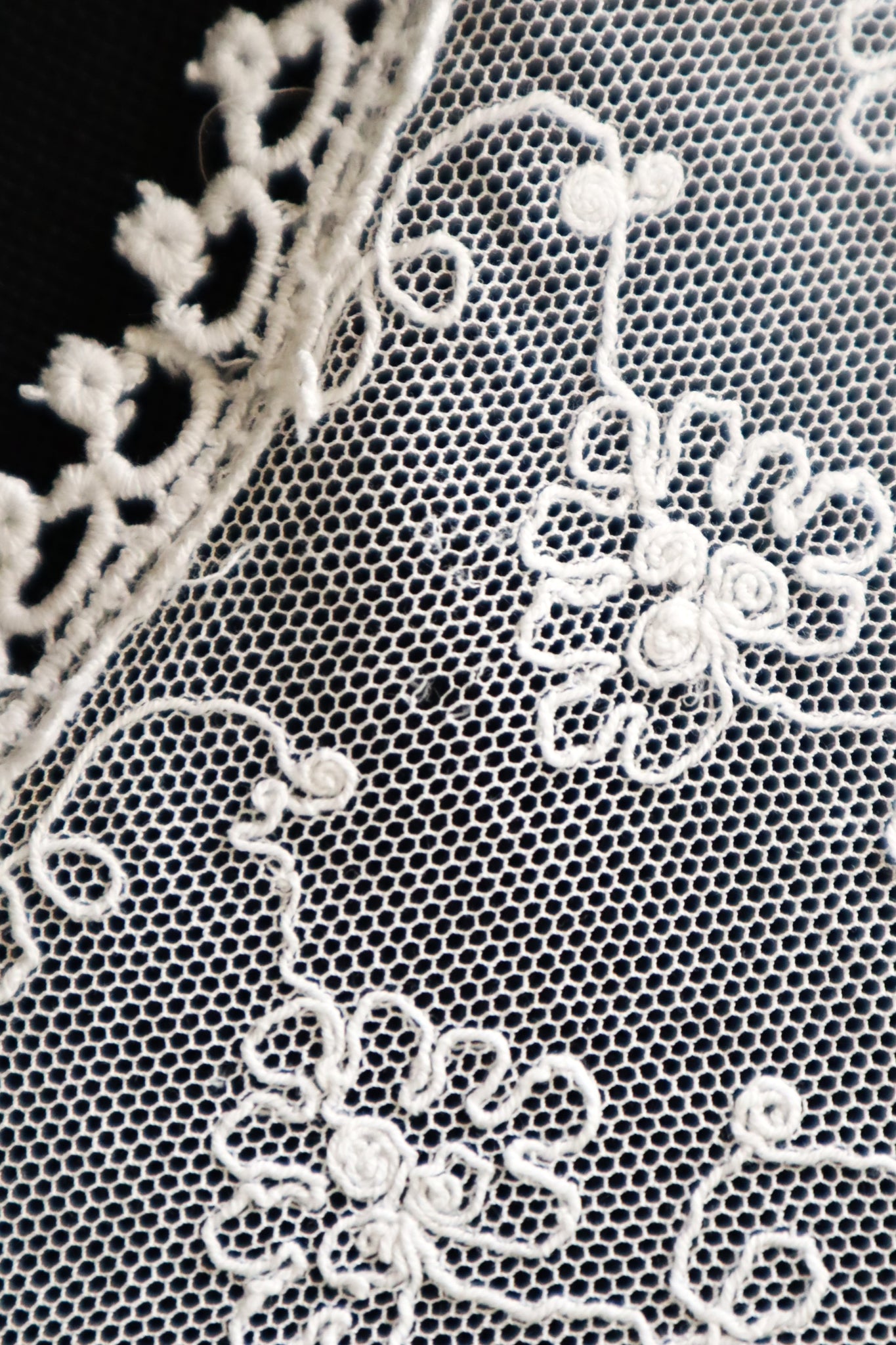 1910s–1920s Embroidered Tulle Lace Collar