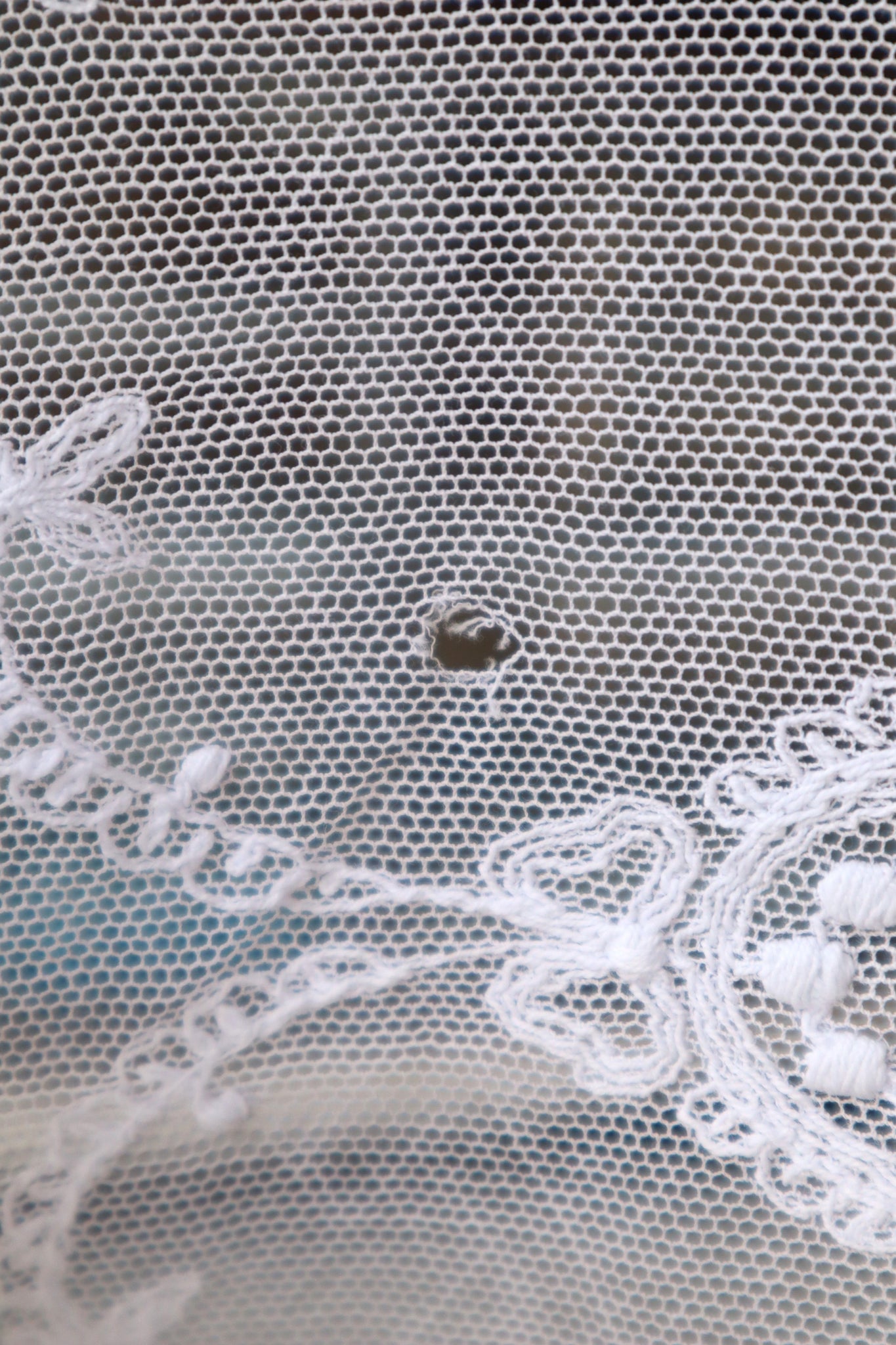1910s French Tulle Lace Bed Cover