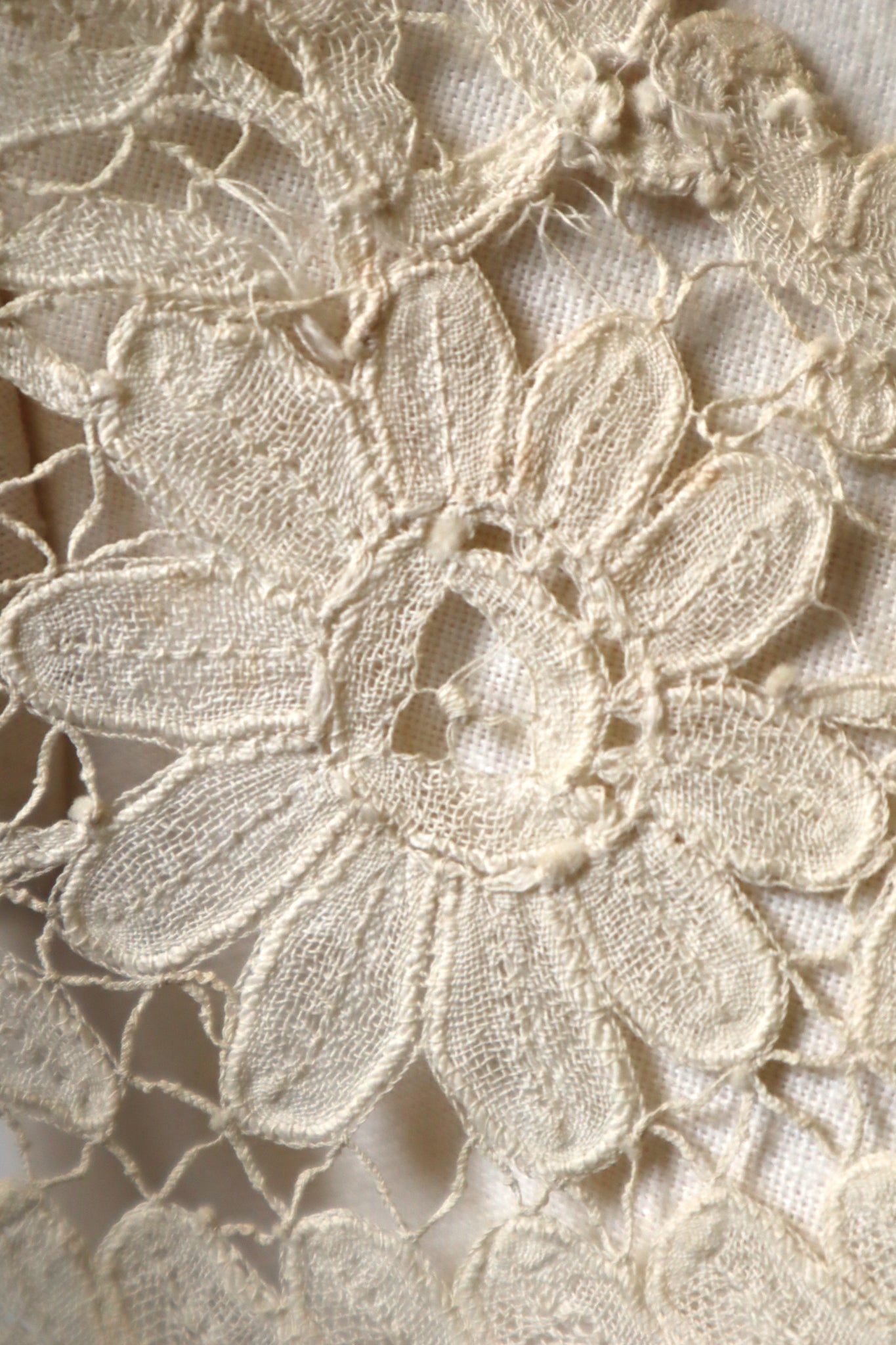 19th Brussels Duchesse Bobbin Lace Collar