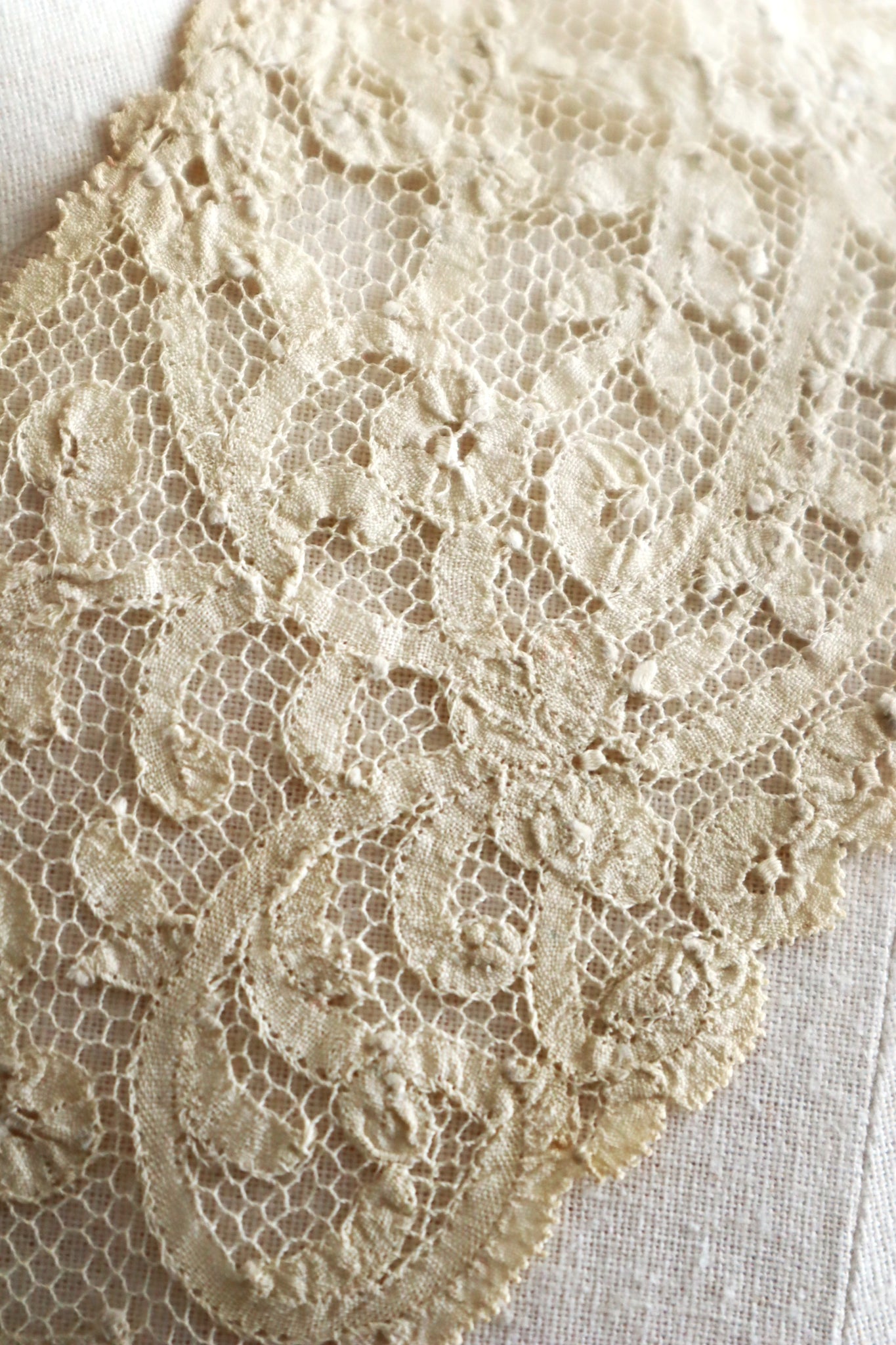 1890s Belgian Continuous Bobbin Lace Collar