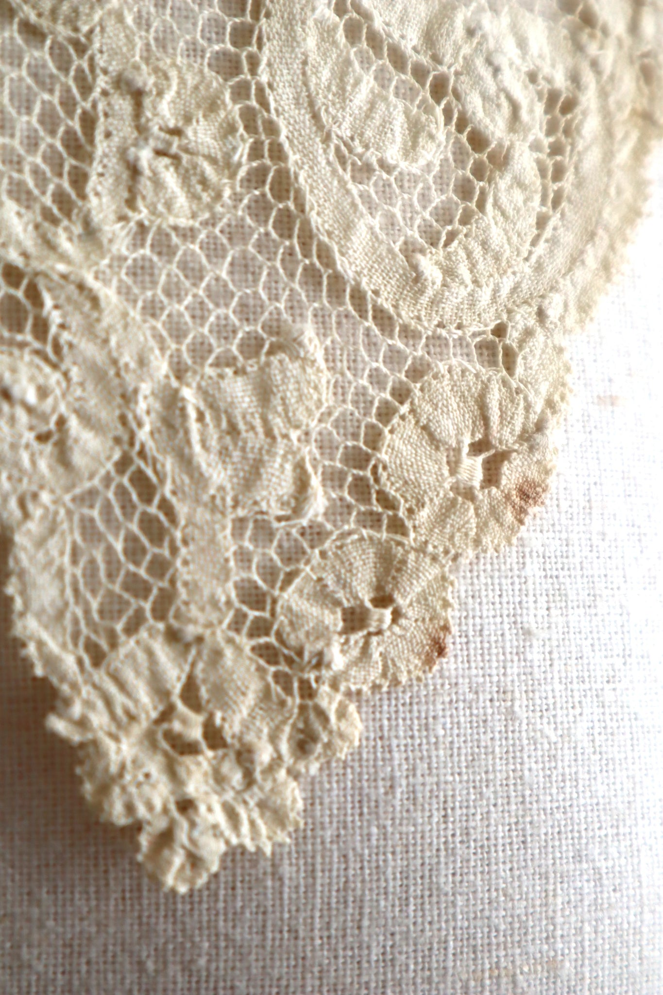 1890s Belgian Continuous Bobbin Lace Collar