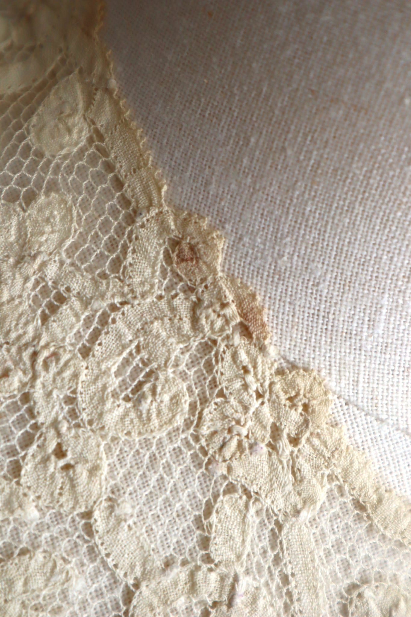 1890s Belgian Continuous Bobbin Lace Collar