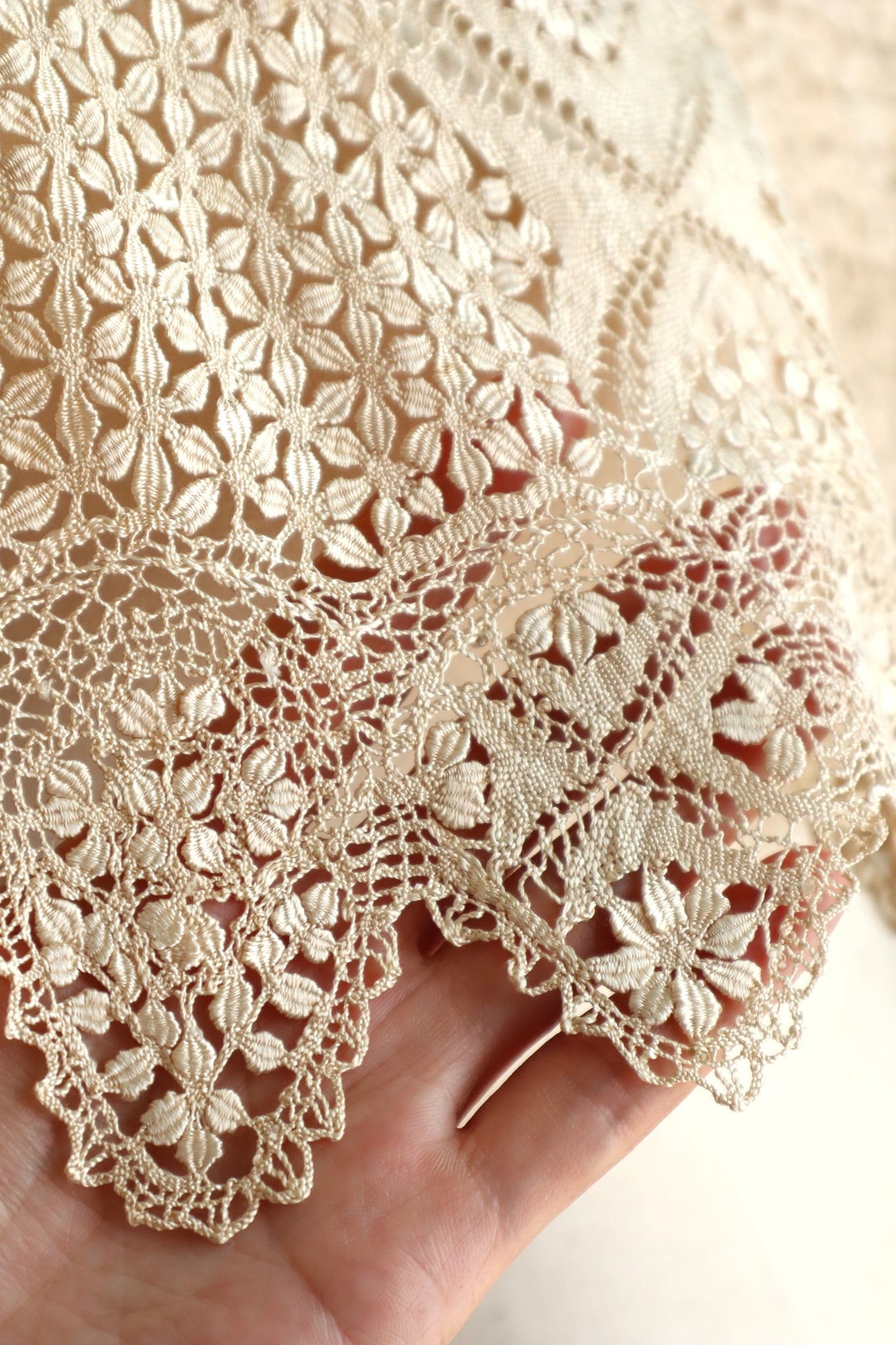 19th Century Silk Maltese Lace Big Collar
