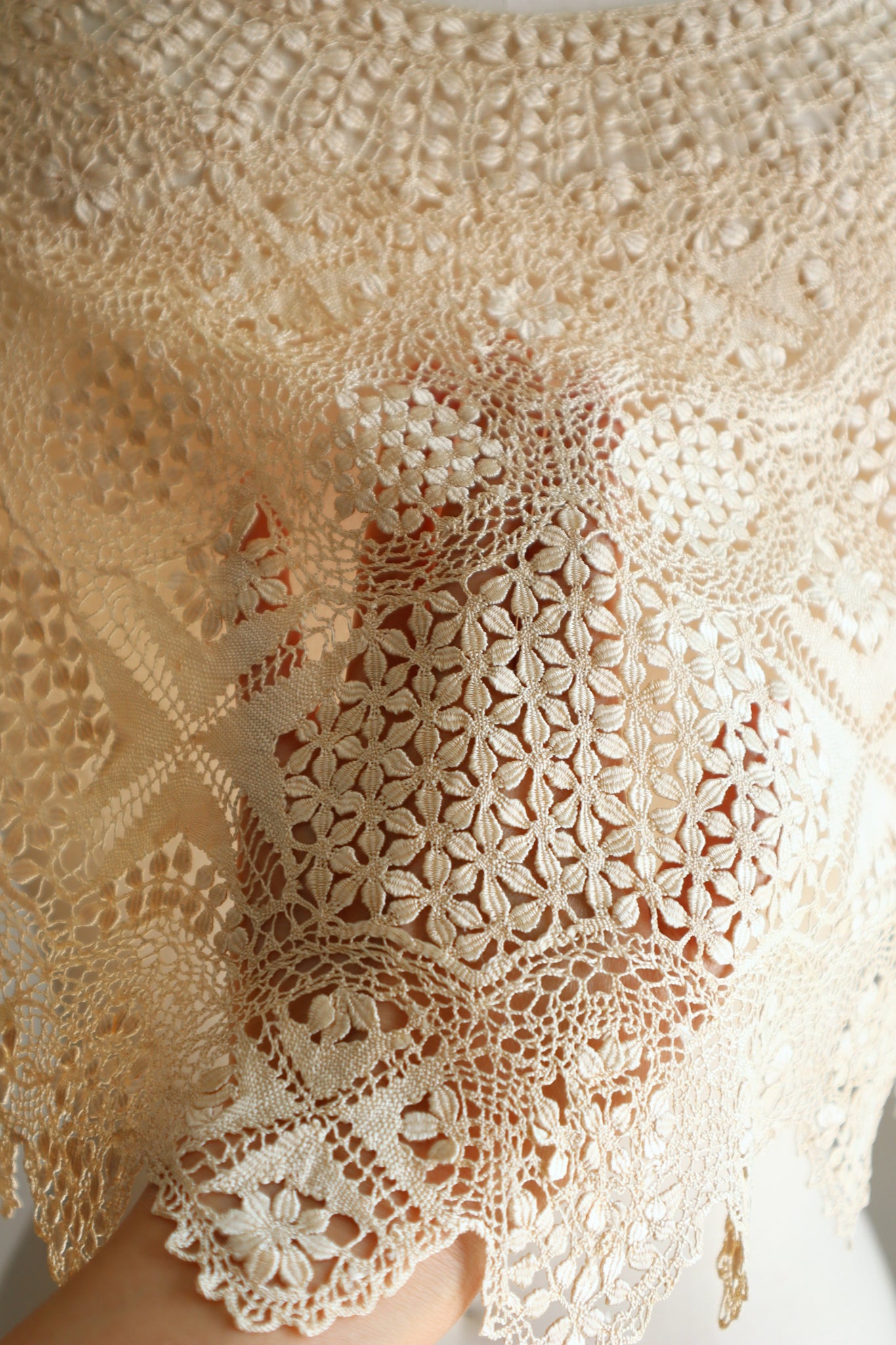 19th Century Silk Maltese Lace Big Collar