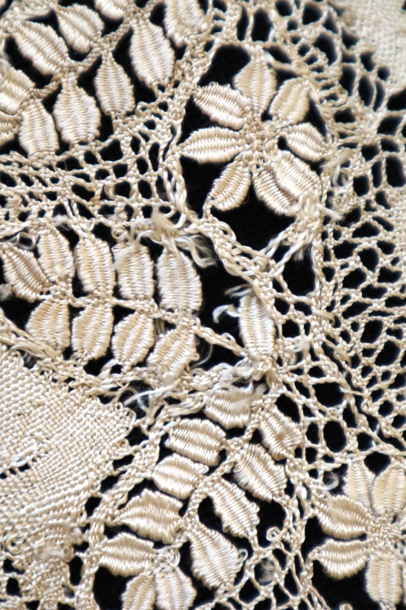 1900s Silk Maltese Lace Collar