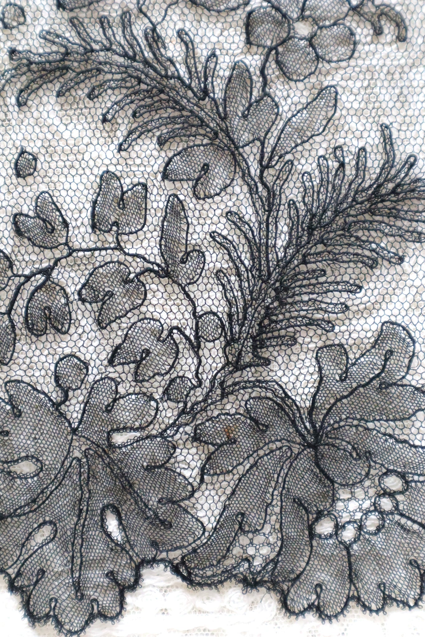 1920s Chantilly Style Lace Trim with Picot Edge, 268 × 19.5cm