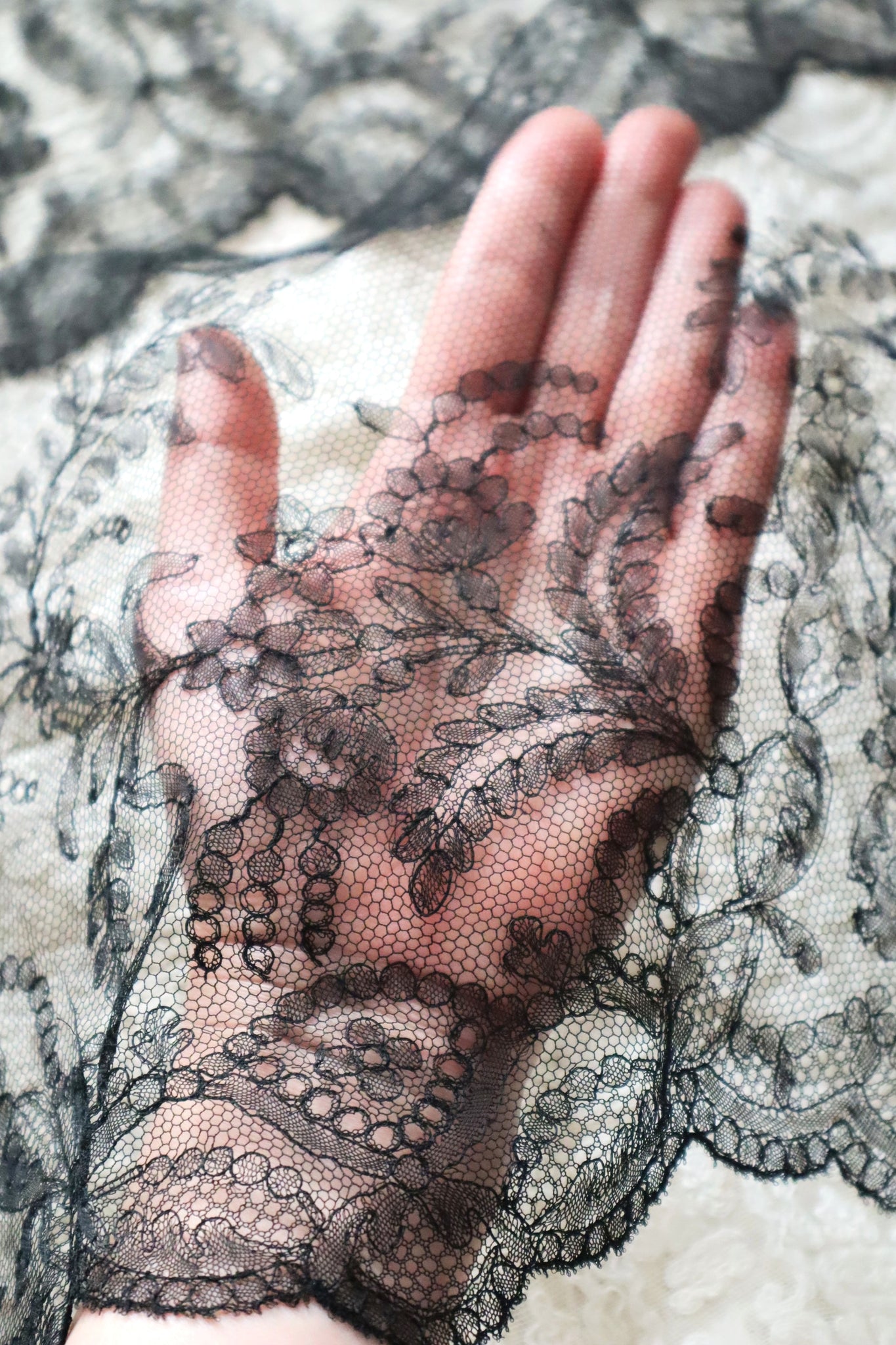 1910s Chantilly Style Lace Trim with Picot Edge, 236 × 25cm