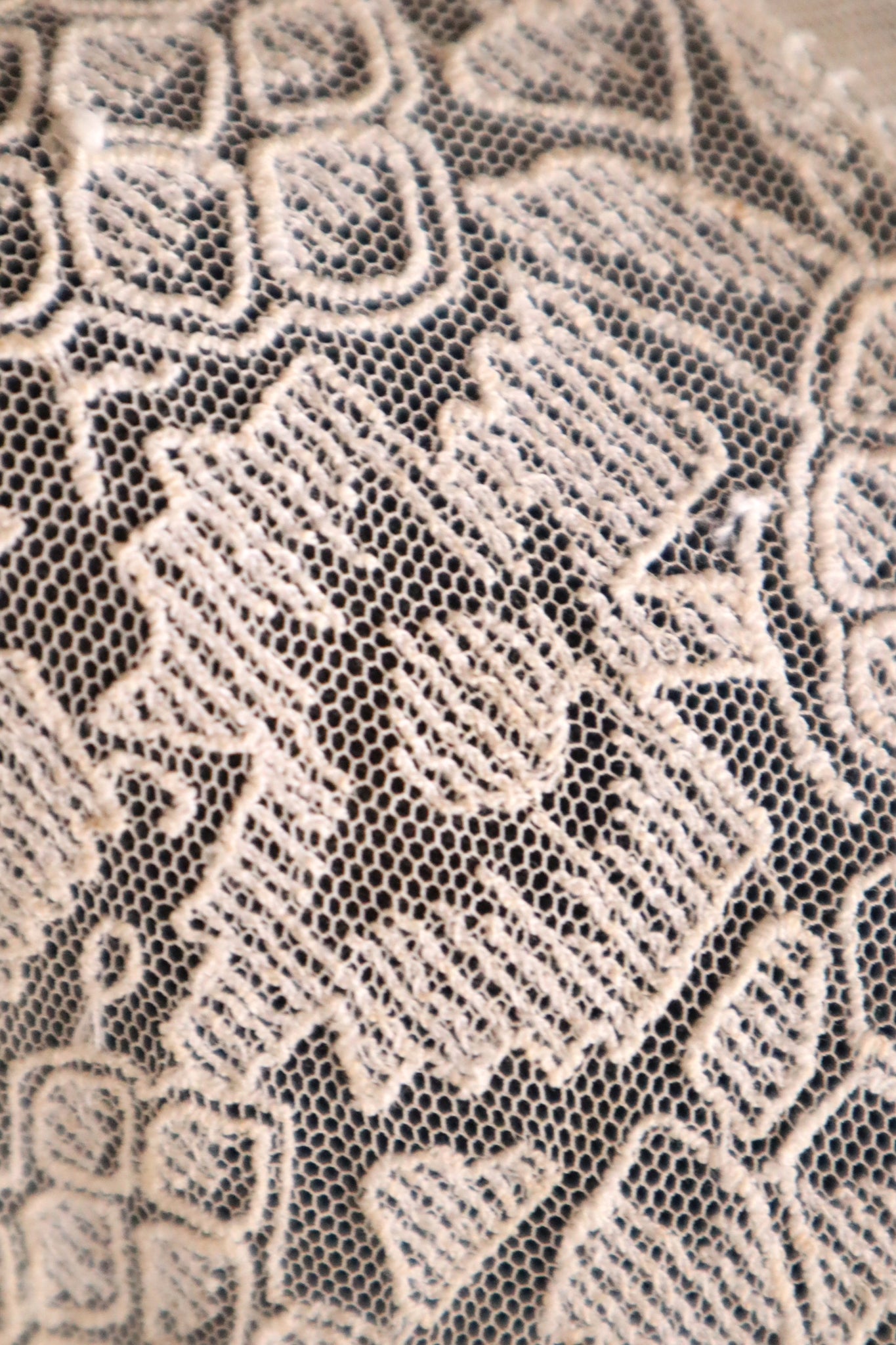 1910s French Lace Jacket