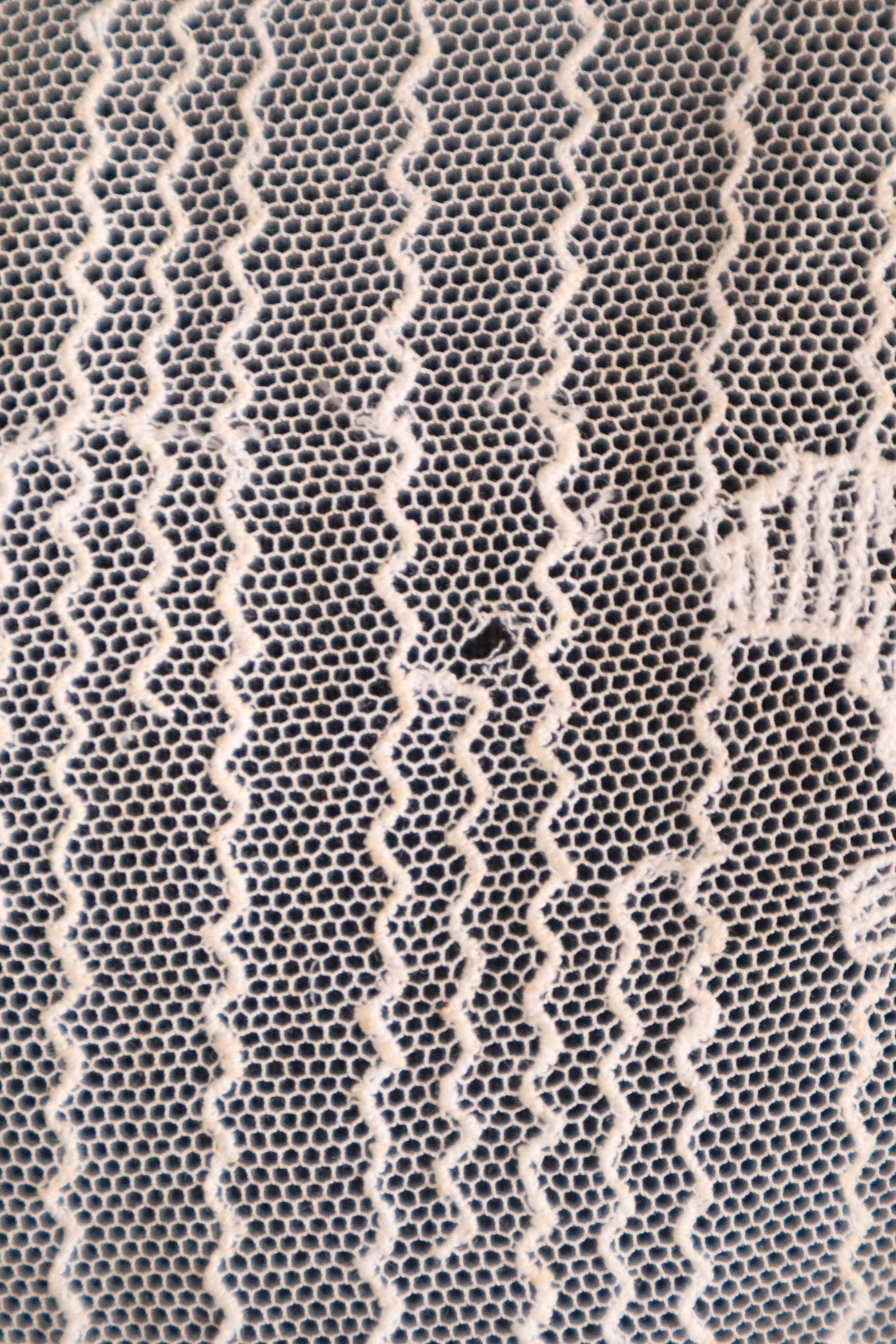 1910s French Lace Jacket