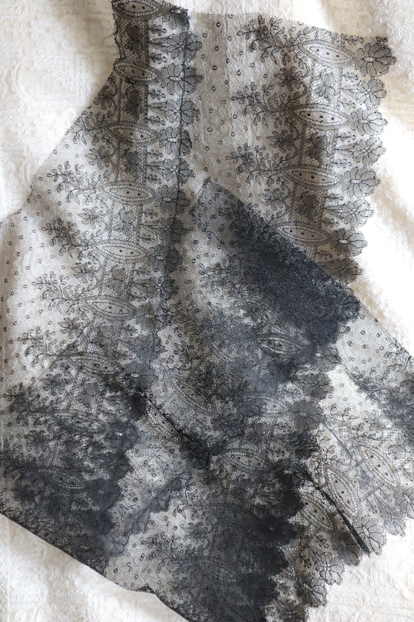 1900s–1920s Antique English Cotton Tulle Lace Bundle