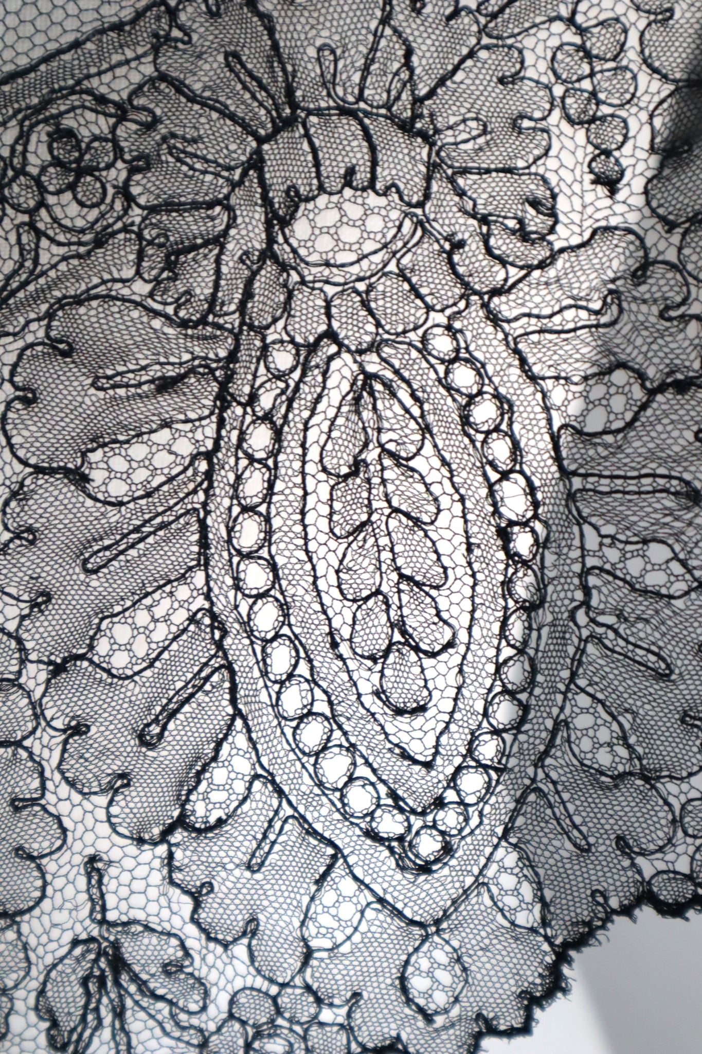 1900s French Black Chantilly Style Lace Collar