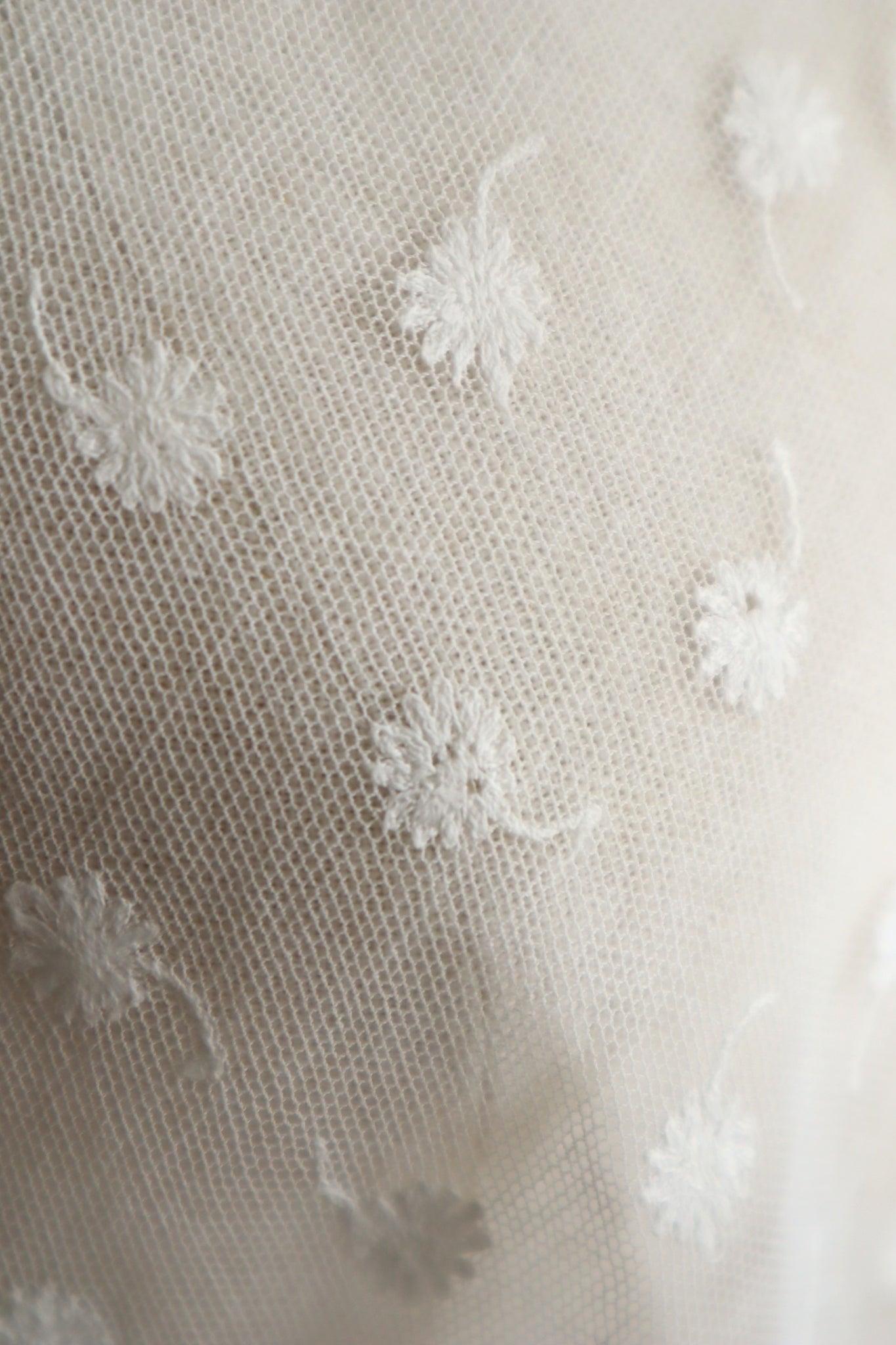 1910s French Daisy Tulle Lace Dickey