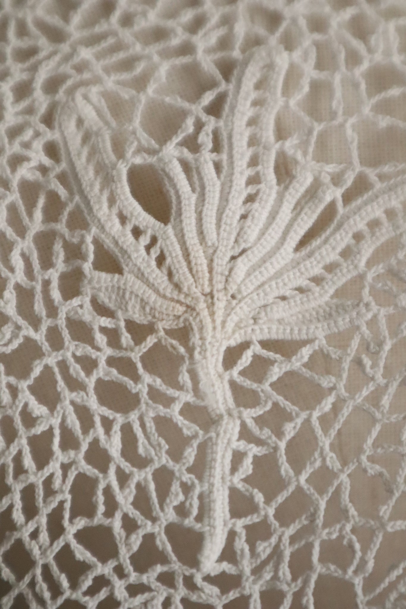 1900s–1910s Edwardian Irish Crochet Lace Collar