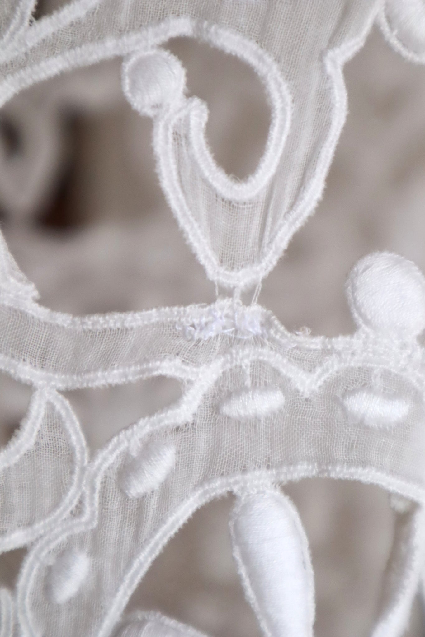 1900s Edwardian Crochet Cutwork Dress