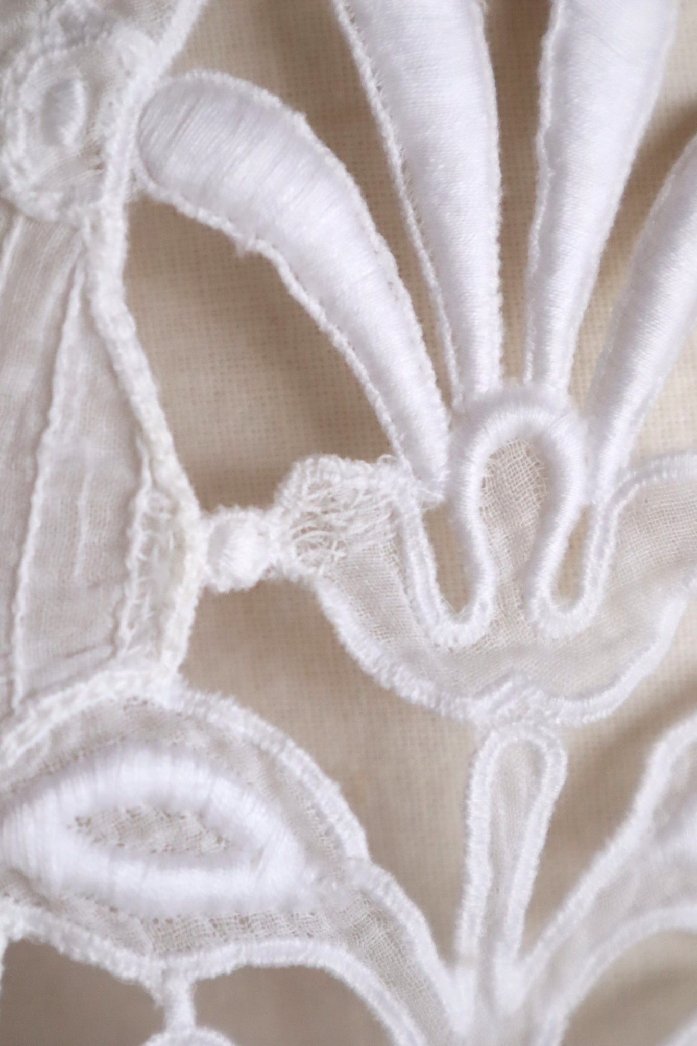 1900s Edwardian Crochet Cutwork Dress