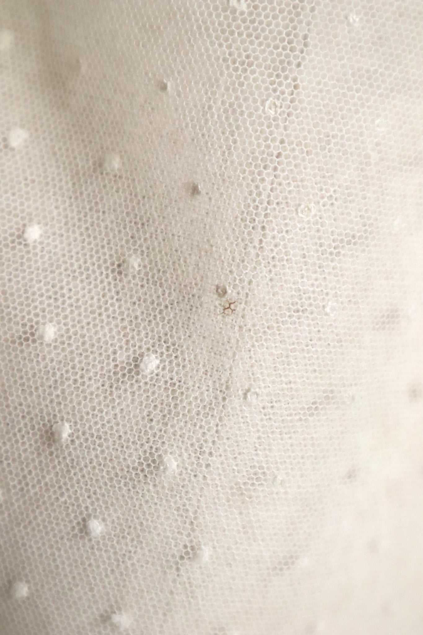 1900s French Embroidered Tulle Fichu Shawl