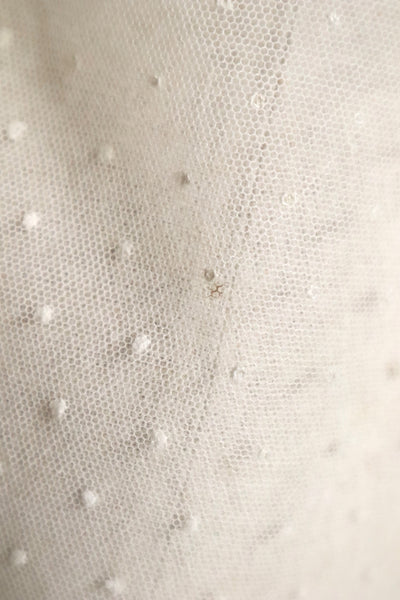 1900s French Embroidered Tulle Fichu Shawl
