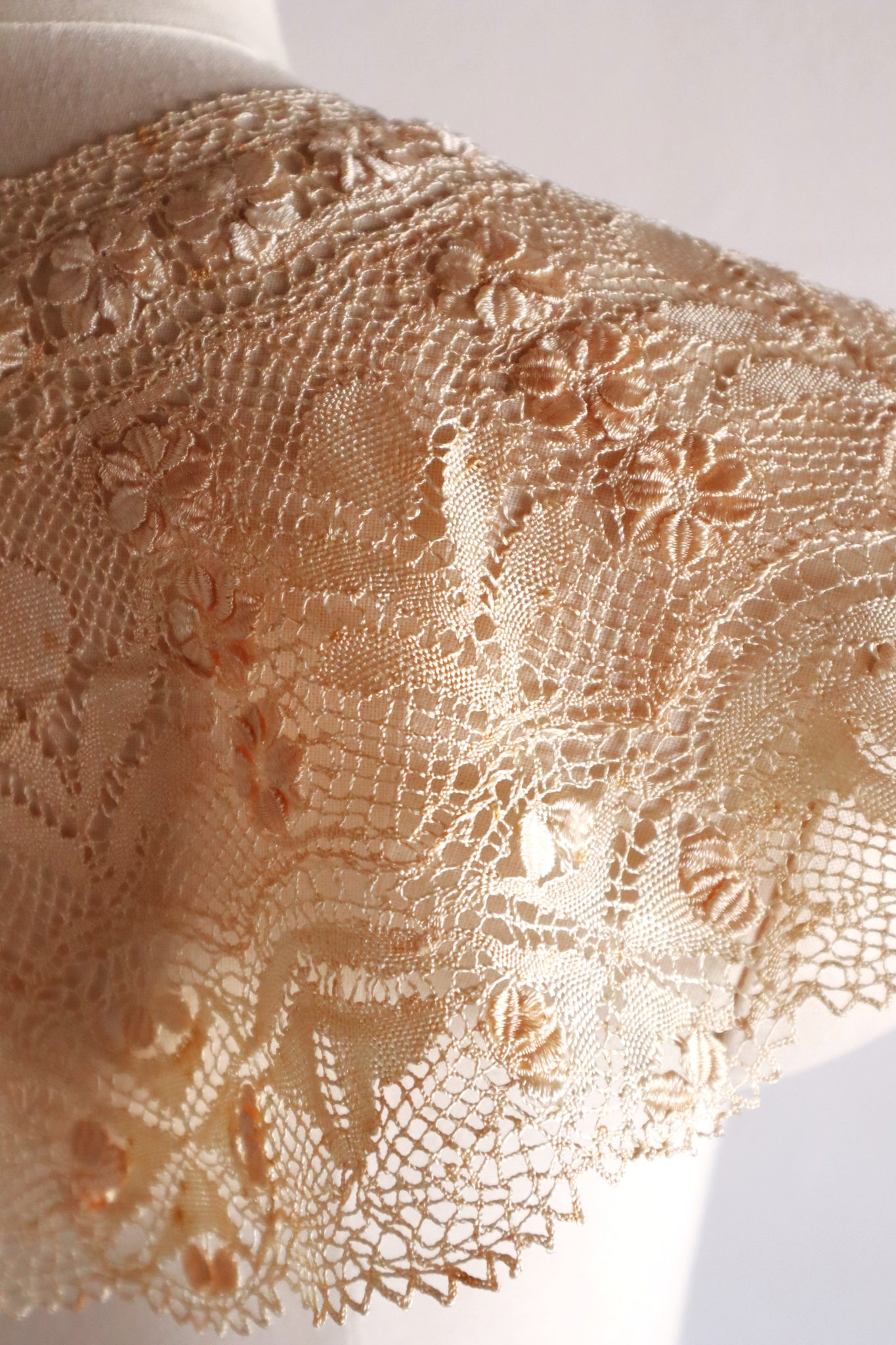 1900s Ecru Silk Maltese Lace Collar
