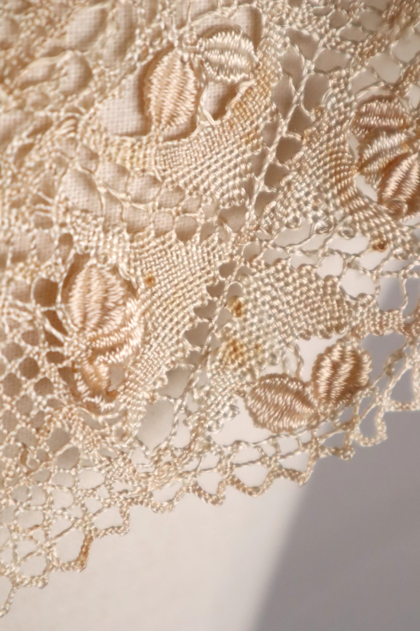 1900s Ecru Silk Maltese Lace Collar