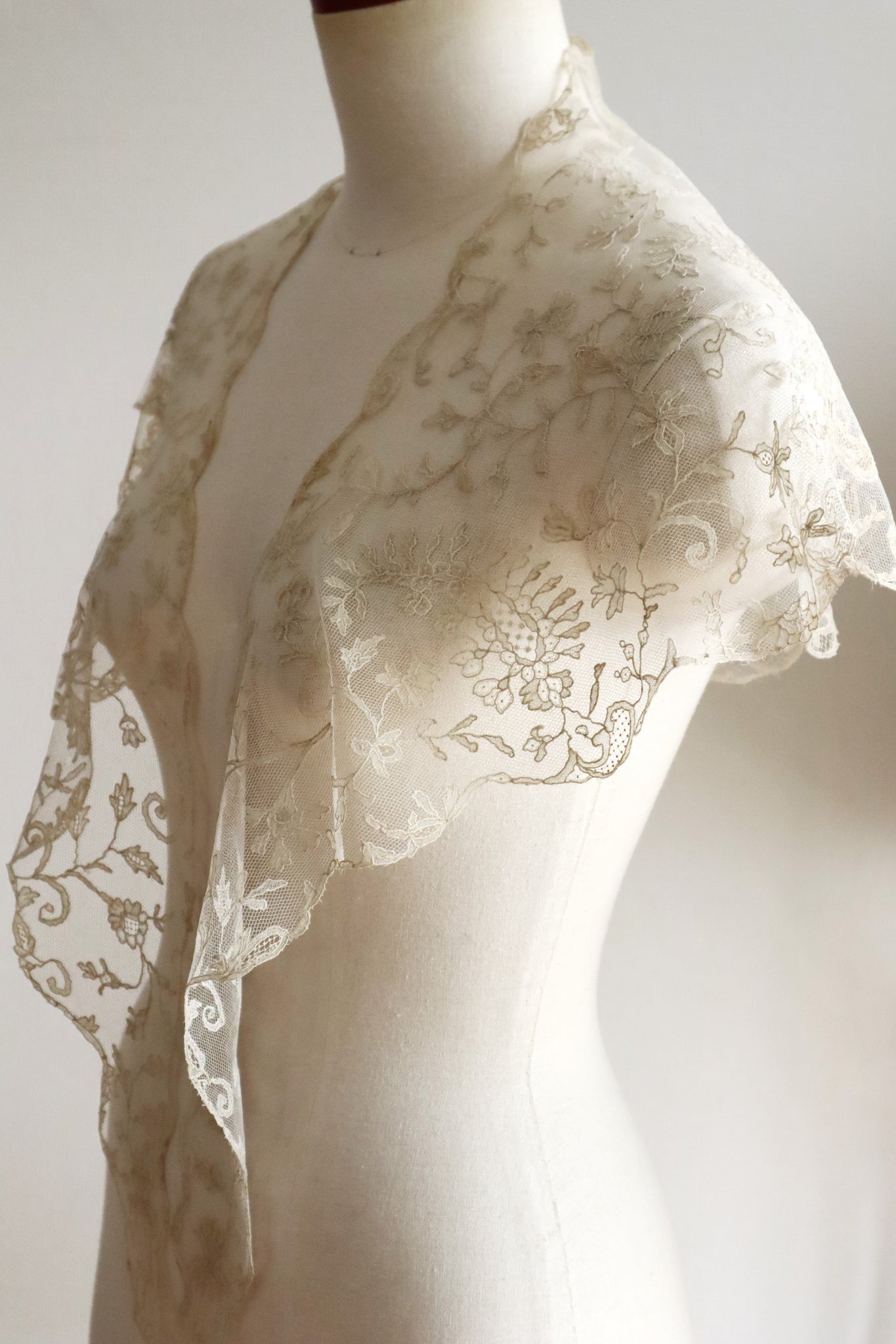 Early 1900s Edwardian Embroidered Net Lace Capelet