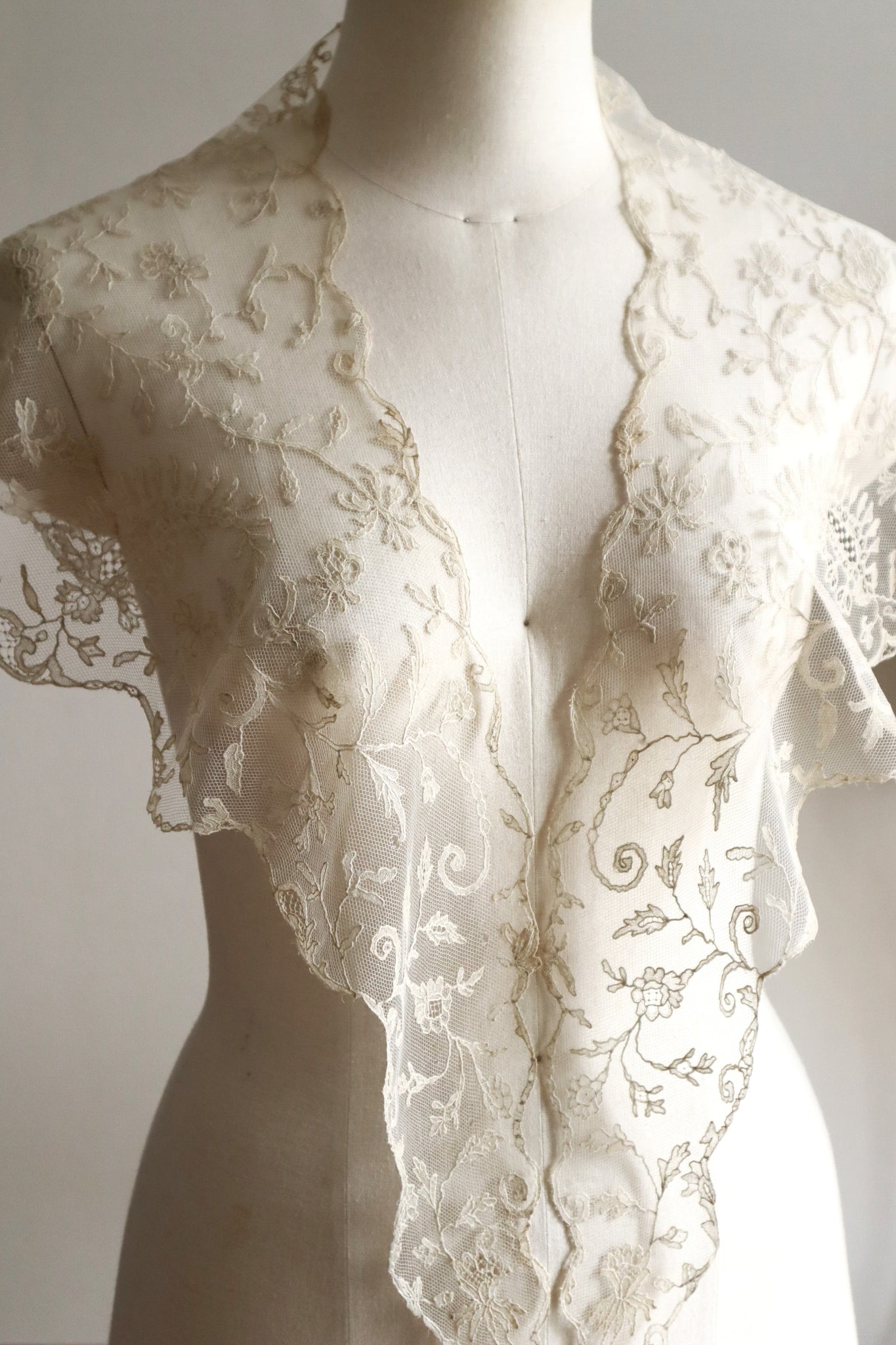 Early 1900s Edwardian Embroidered Net Lace Capelet