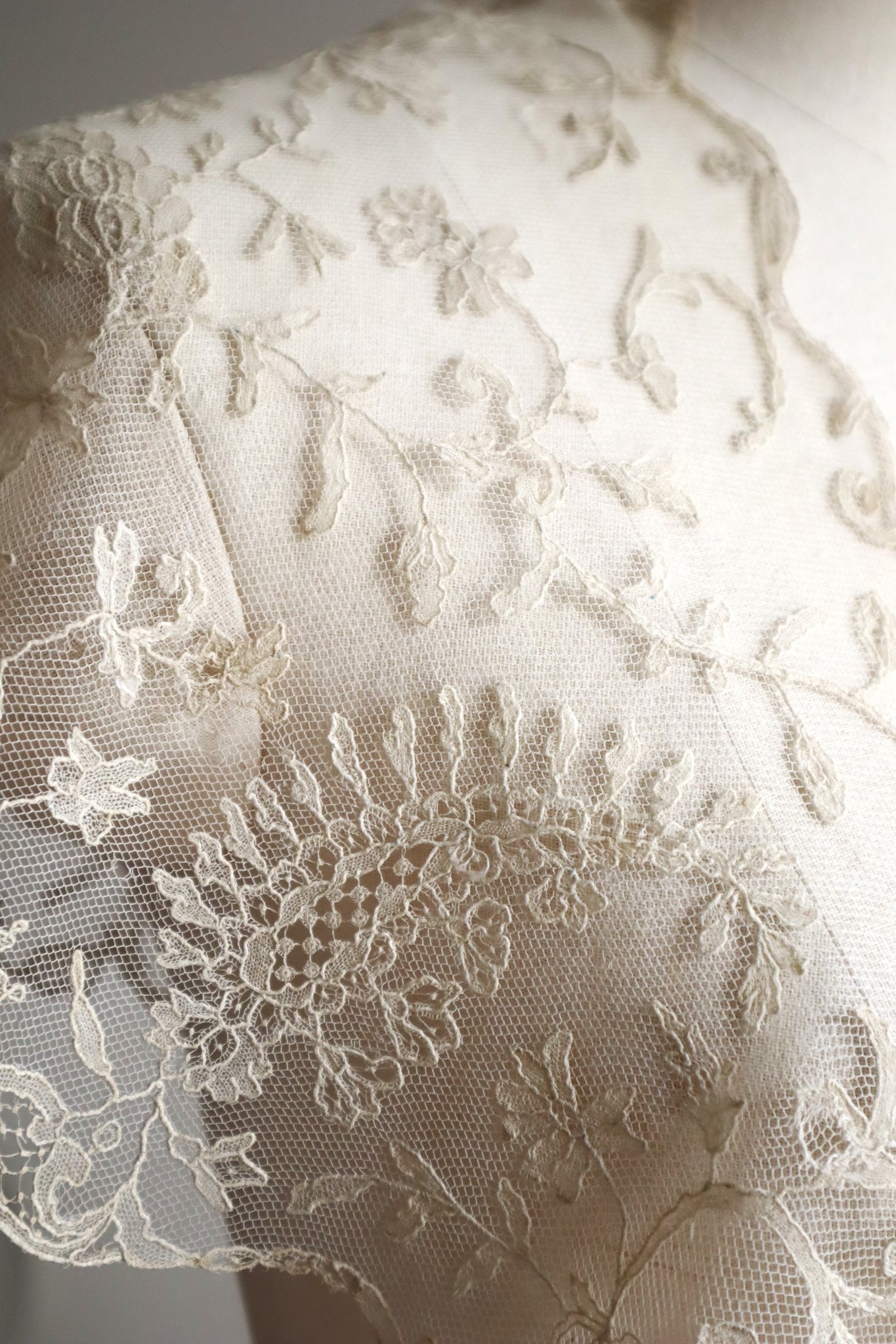 Early 1900s Edwardian Embroidered Net Lace Capelet